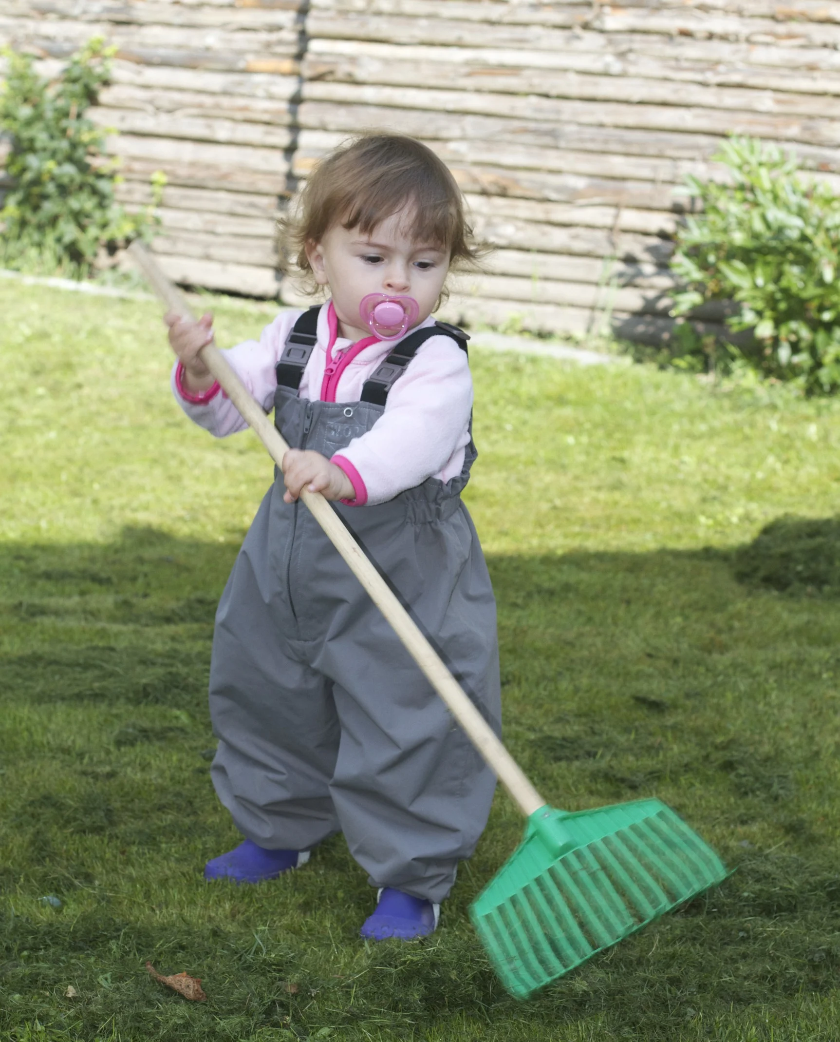 skd pic 2011_07_19 IMG_9899.CR2.jpg