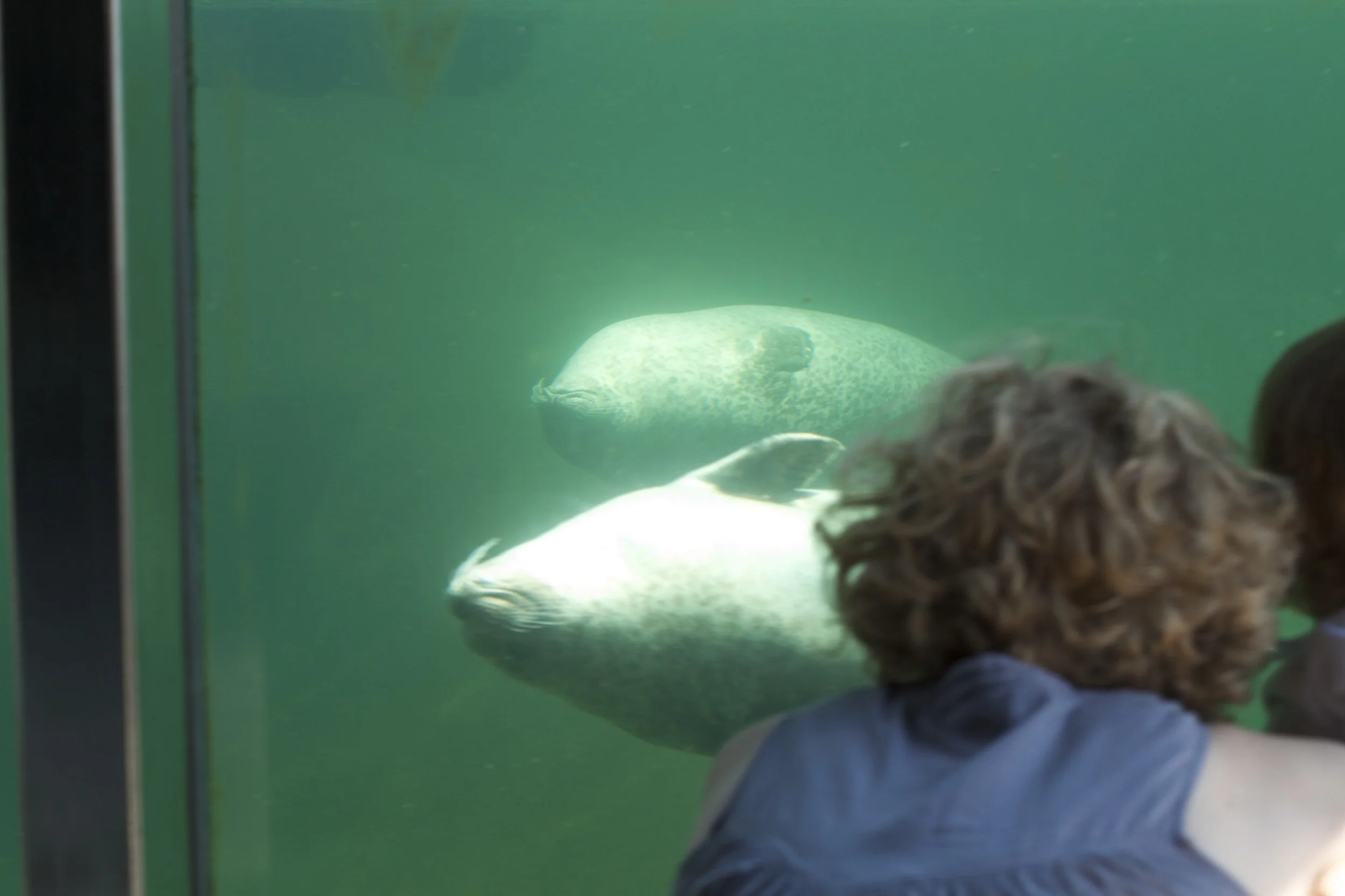 skd pic 2011_07_19 IMG_9958.CR2.jpg