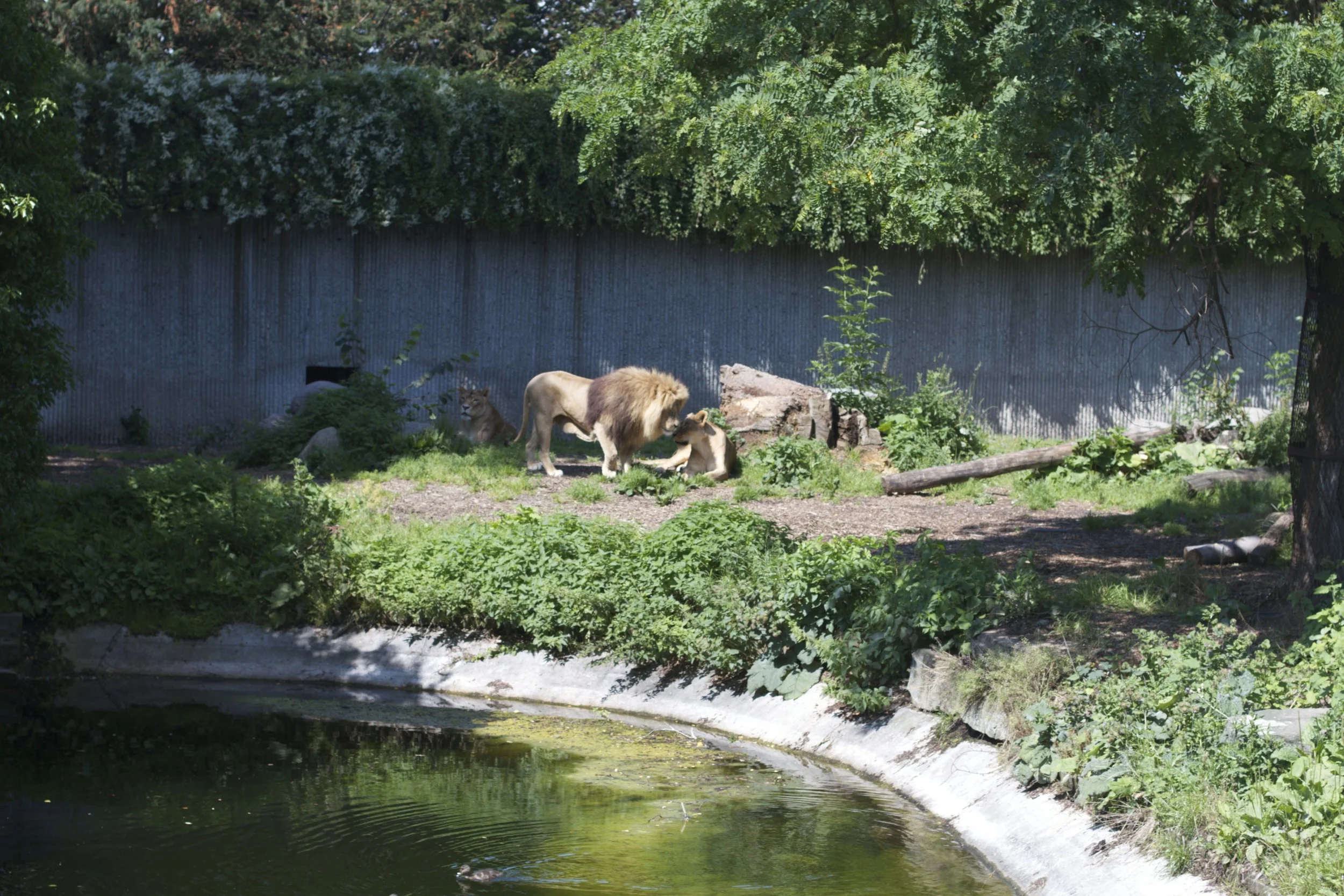 skd pic 2011_07_19 IMG_9940.CR2.jpg