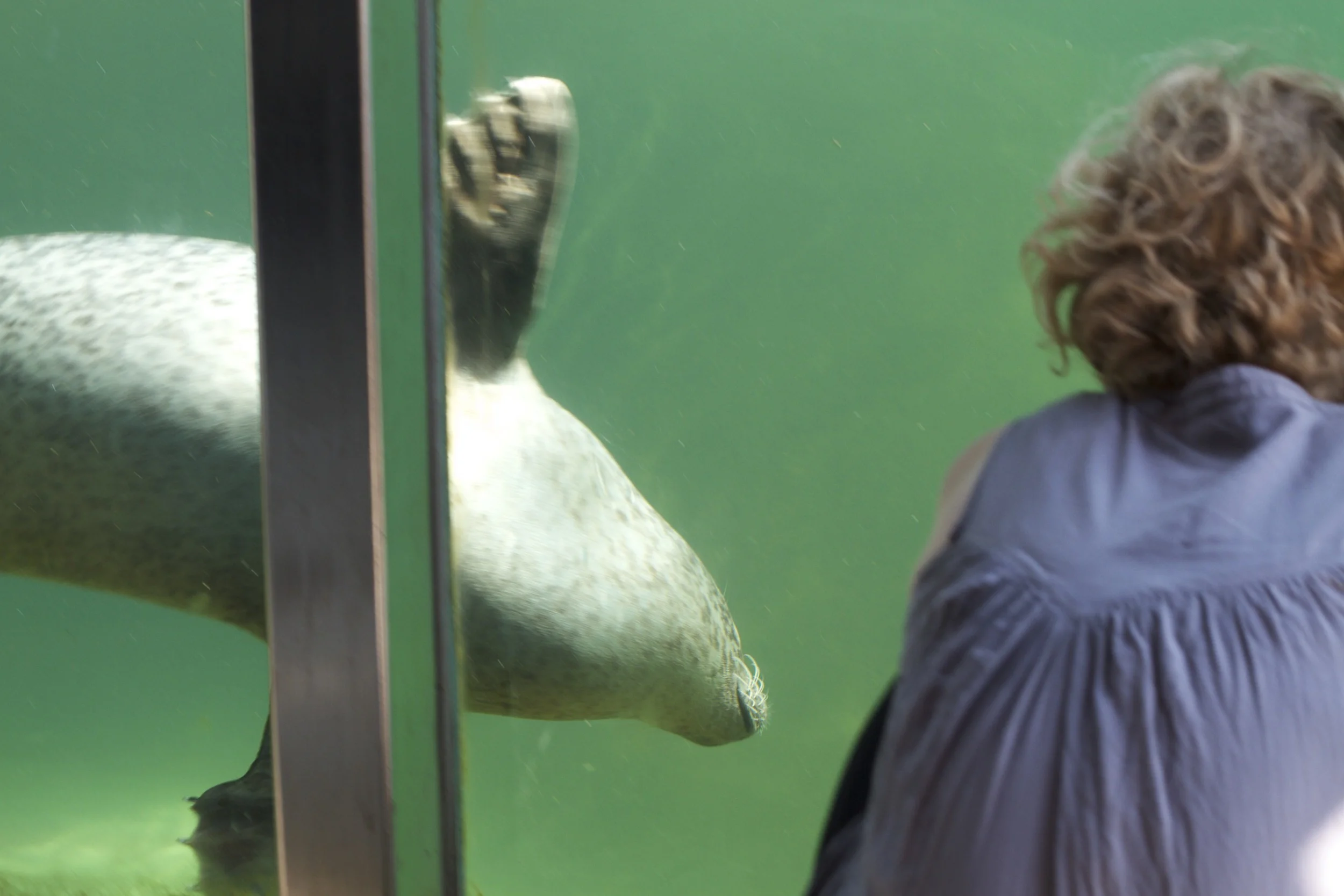 skd pic 2011_07_19 IMG_9967.CR2.jpg