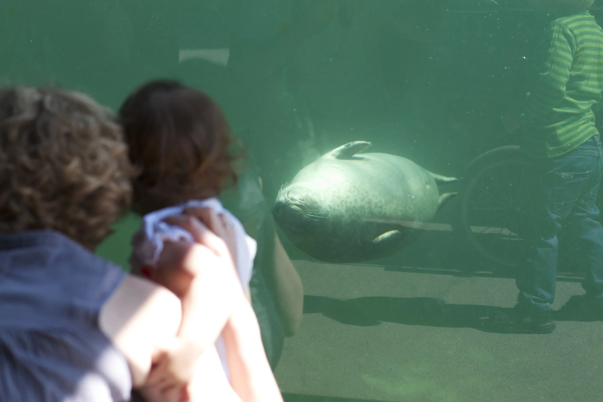 skd pic 2011_07_19 IMG_9984.CR2.jpg