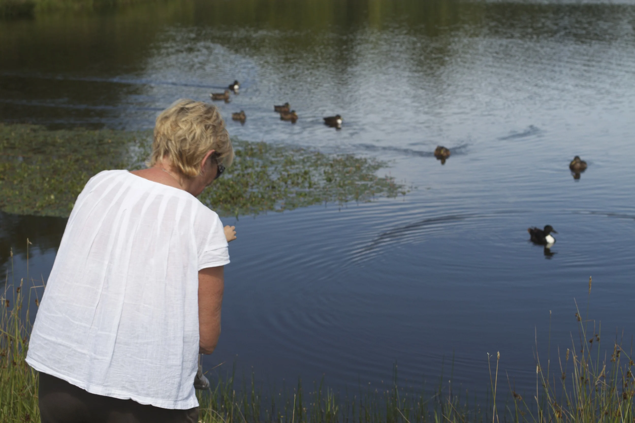 skd pic 2011_07_27 IMG_0748.CR2.jpg