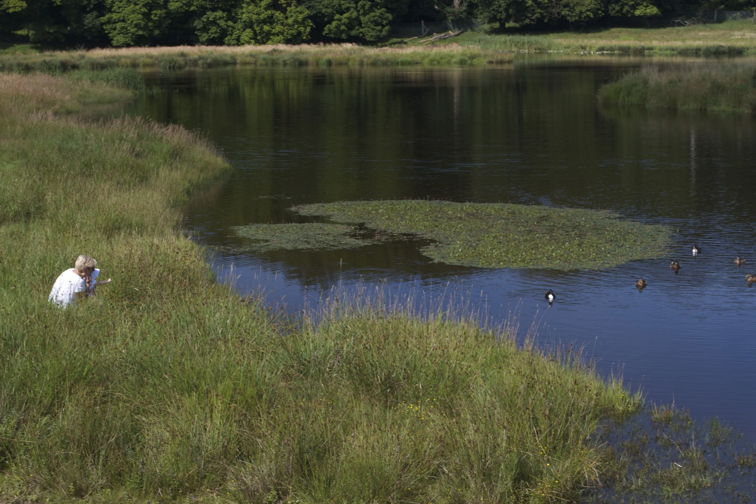 skd pic 2011_07_27 IMG_0750.CR2.jpg