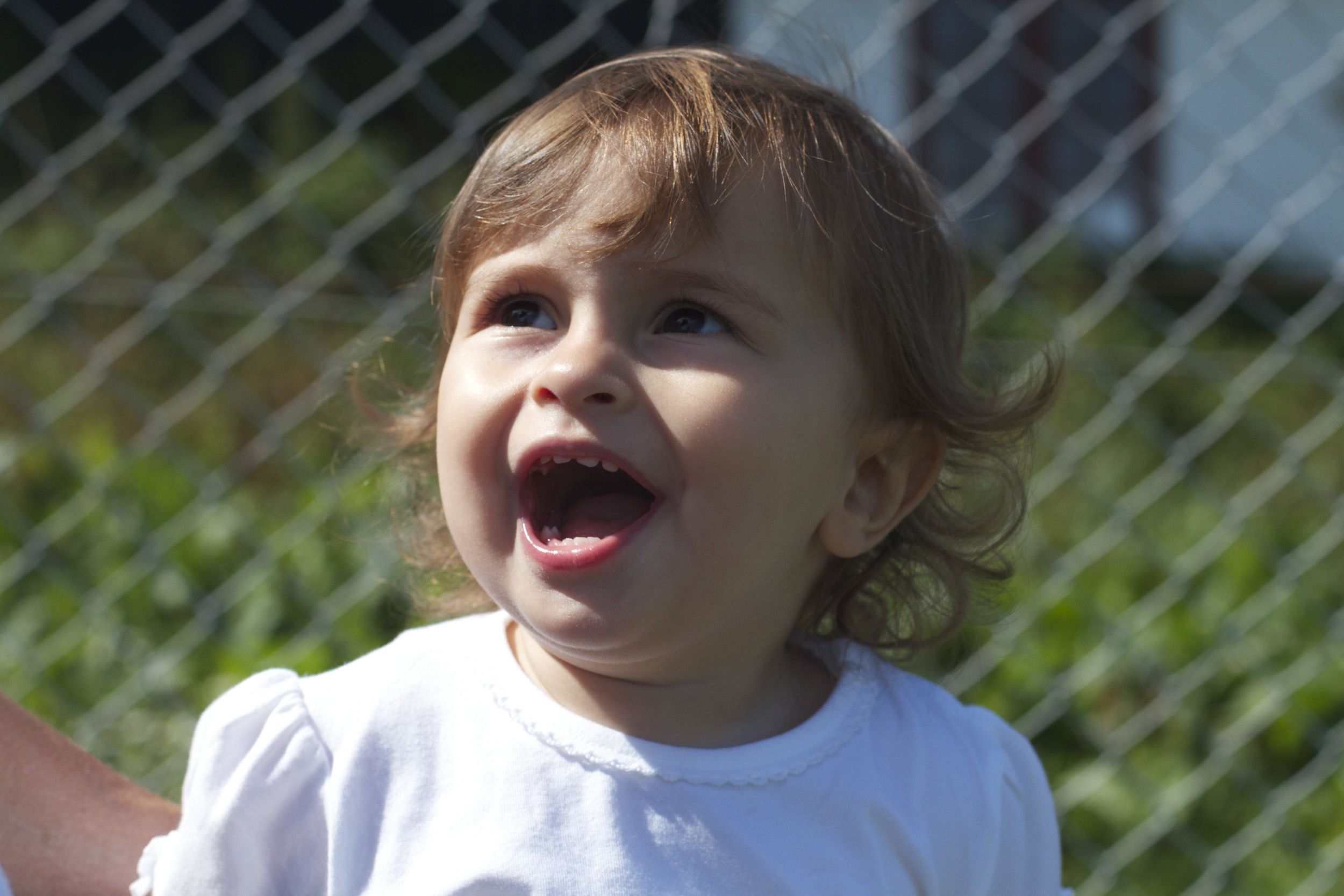 skd pic 2011_07_27 IMG_0799.CR2.jpg