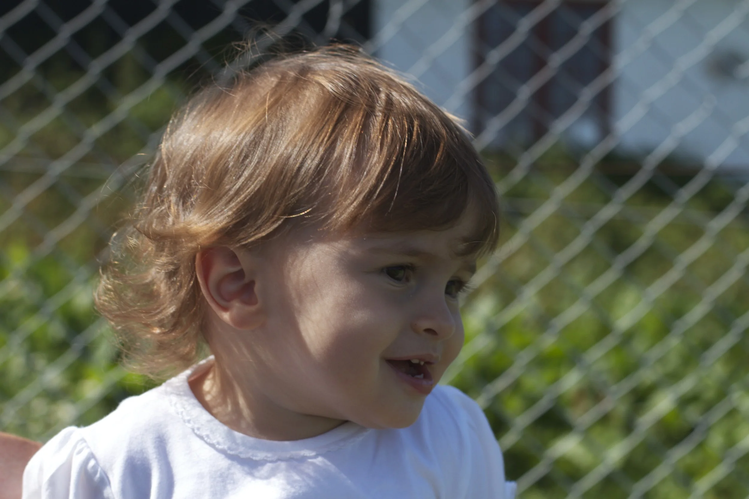 skd pic 2011_07_27 IMG_0800.CR2.jpg