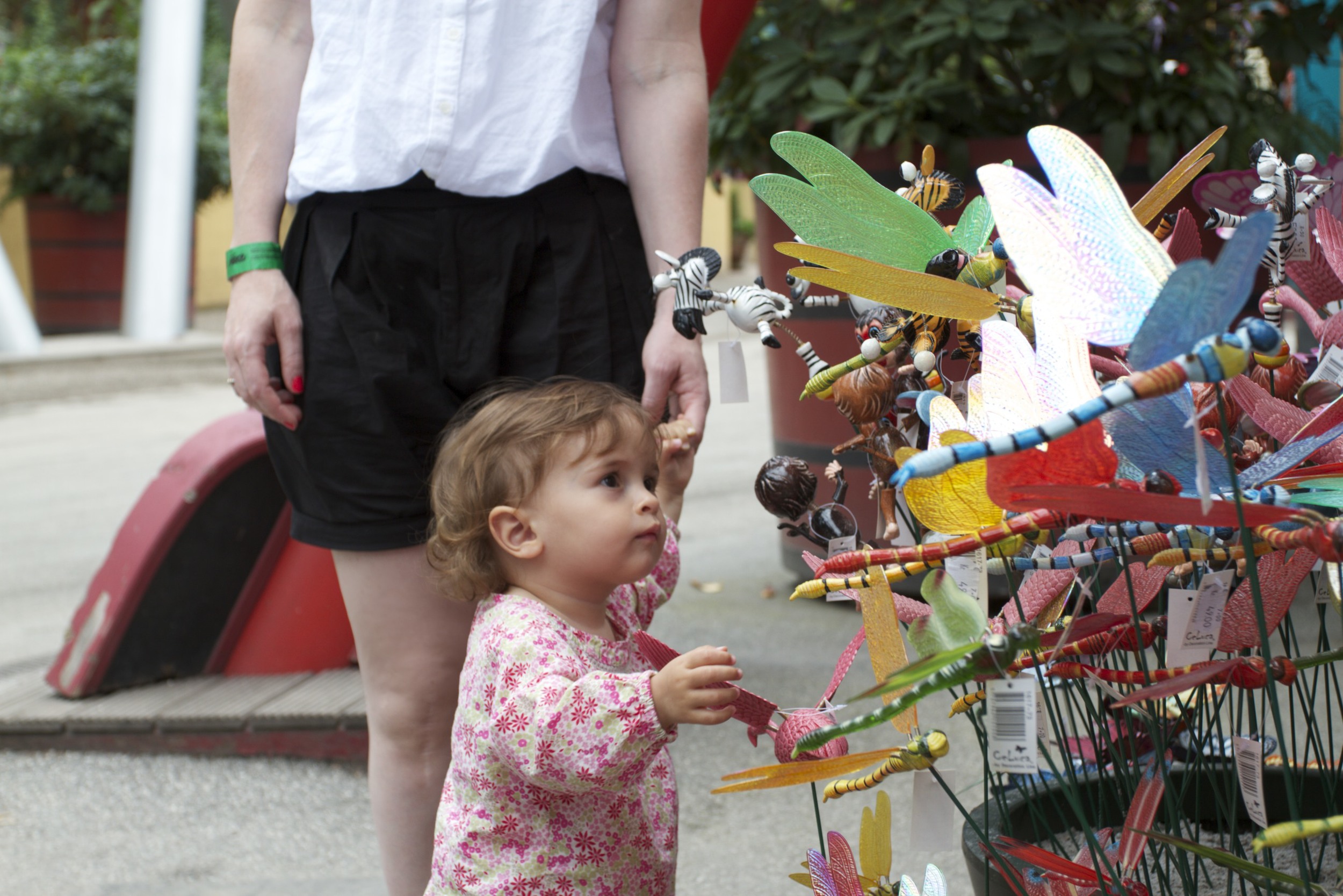 skd pic 2011_07_30 IMG_0914.CR2.jpg