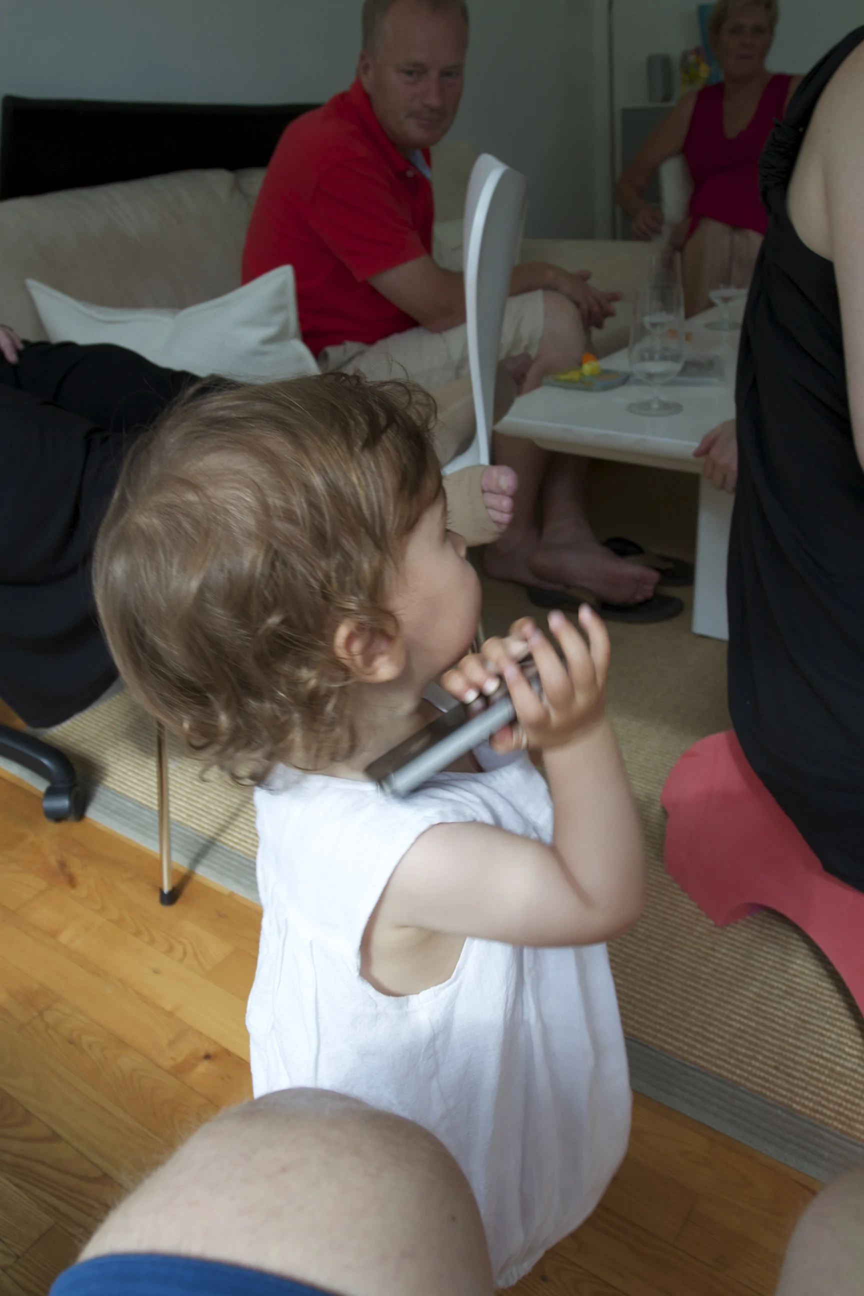 skd pic 2011_07_31 IMG_1183.CR2.jpg