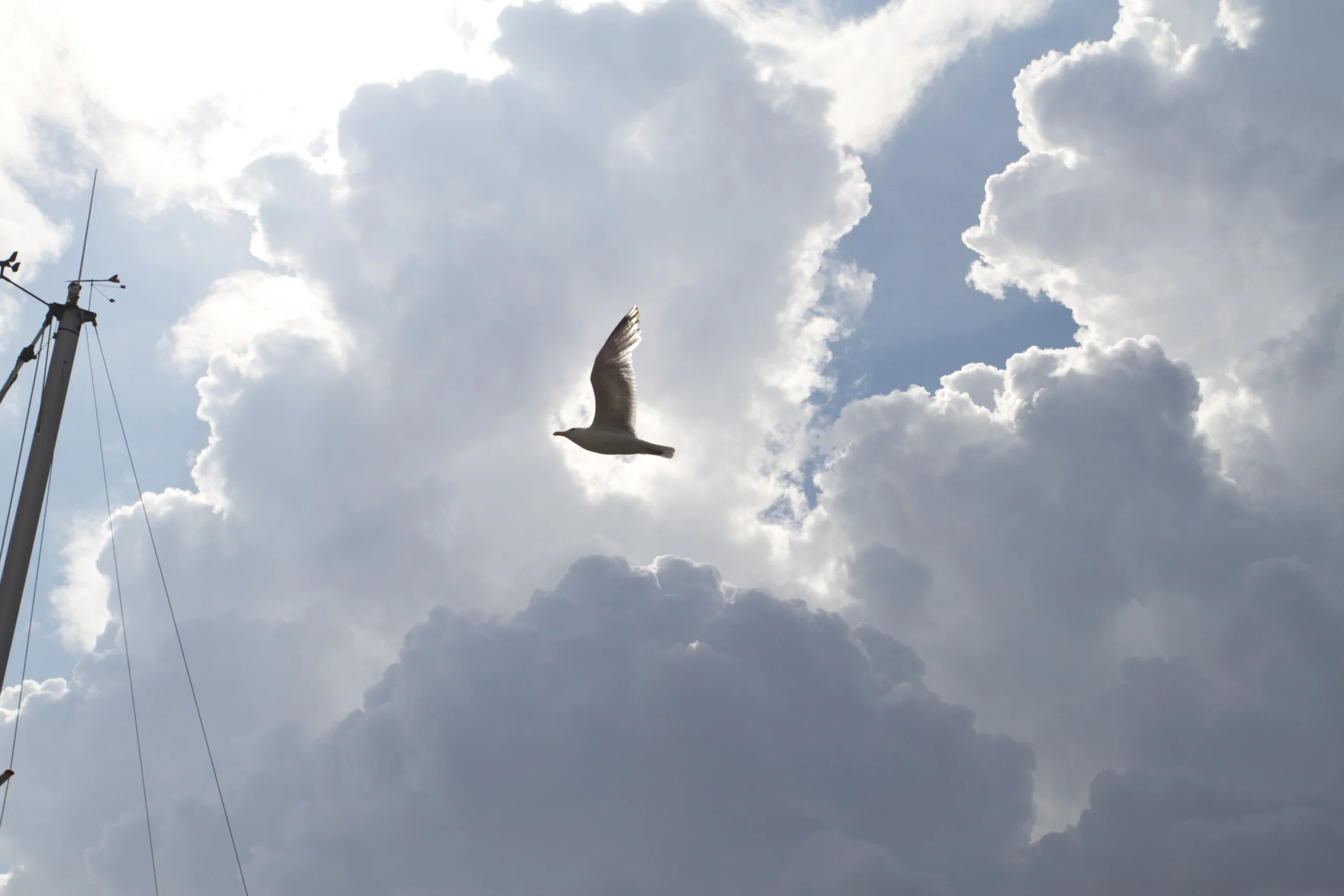 skd pic 2011_08_01 IMG_1337.CR2.jpg