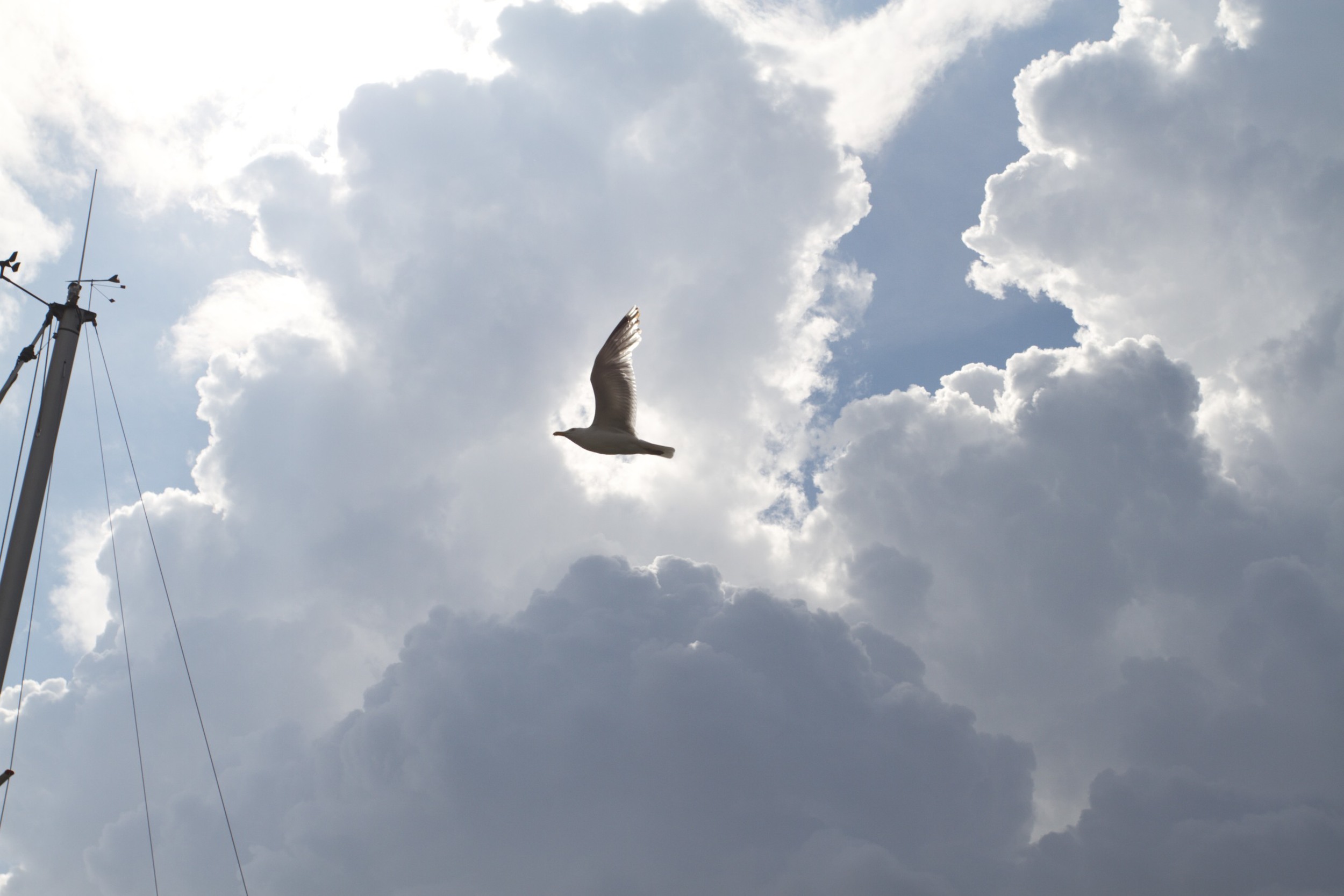 skd pic 2011_08_01 IMG_1337.CR2.jpg