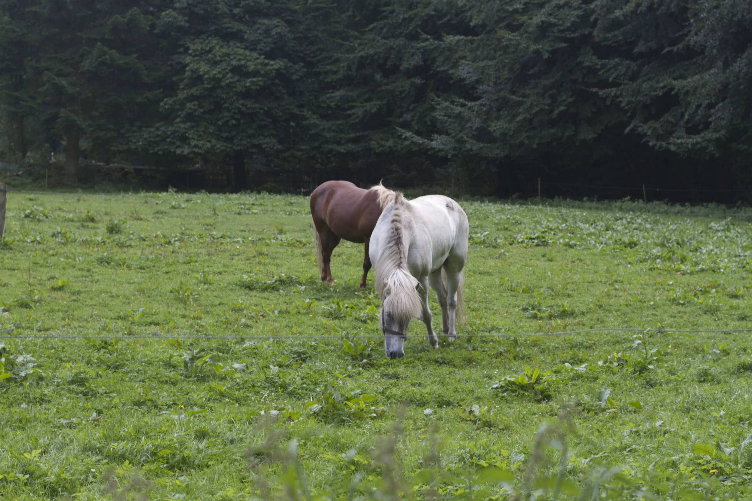 skd pic 2011_08_14 IMG_1611.CR2.jpg