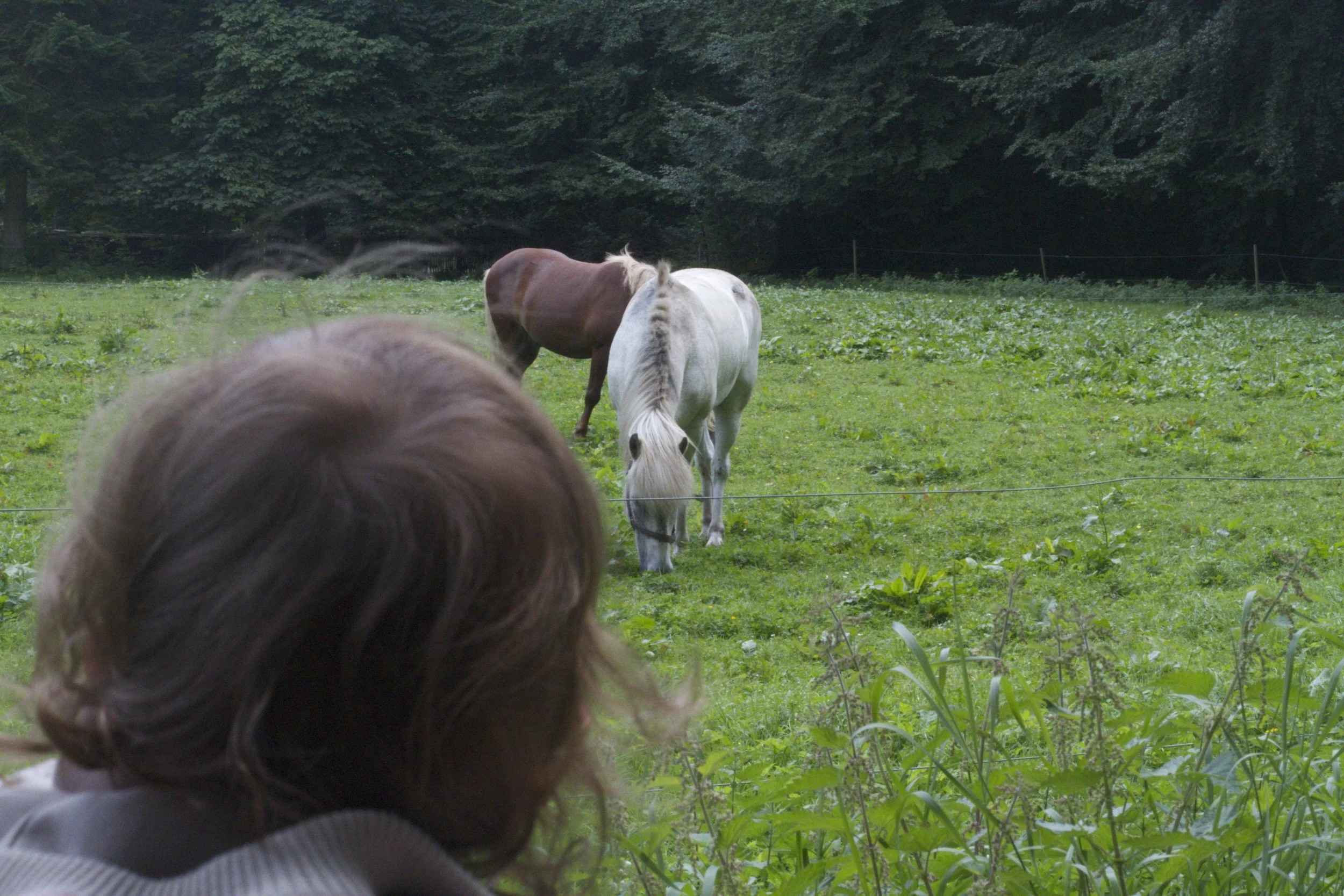 skd pic 2011_08_14 IMG_1614.CR2.jpg