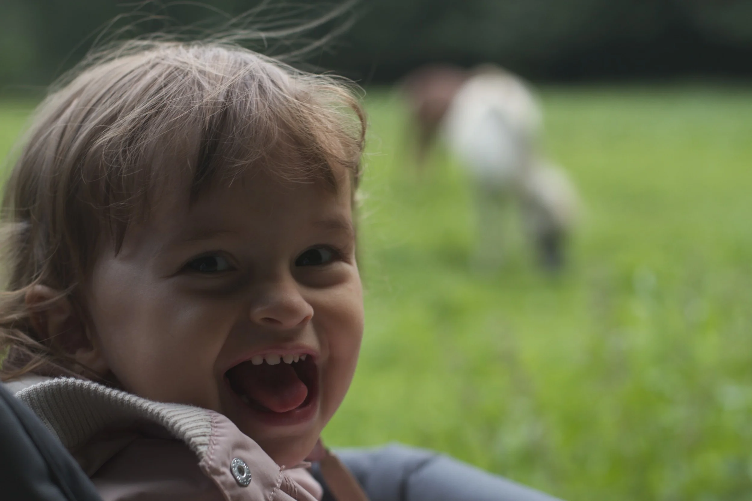 skd pic 2011_08_14 IMG_1615.CR2.jpg