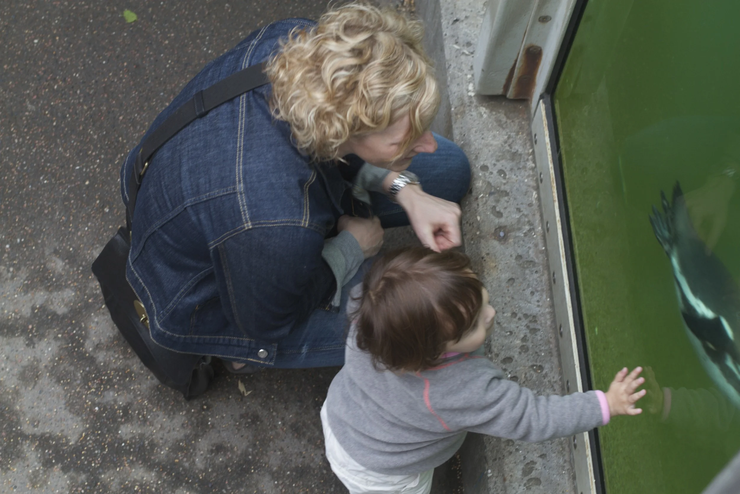 skd pic 2012_07_03 IMG_2087.CR2.jpg