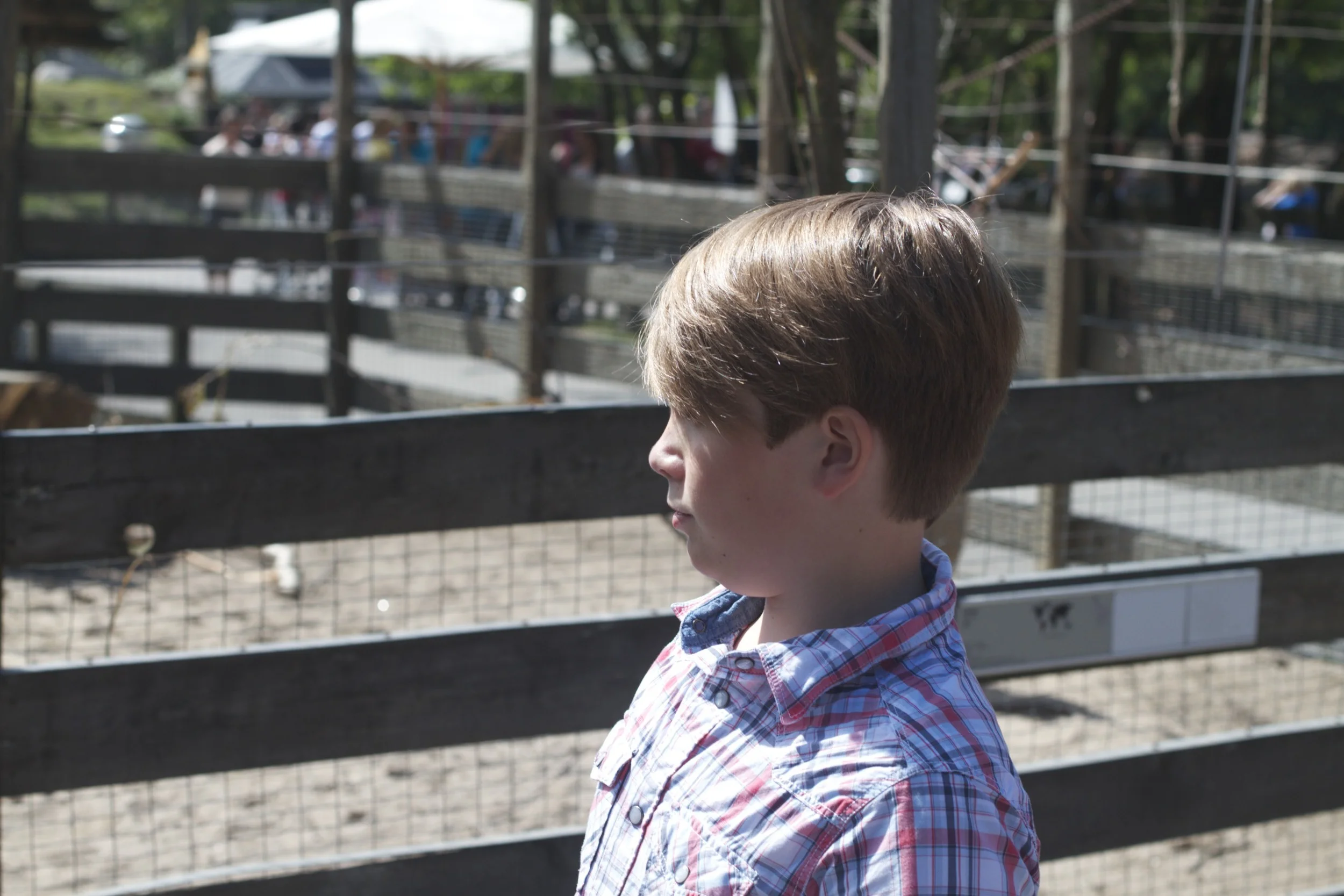 skd pic 2012_07_03 IMG_2105.CR2.jpg