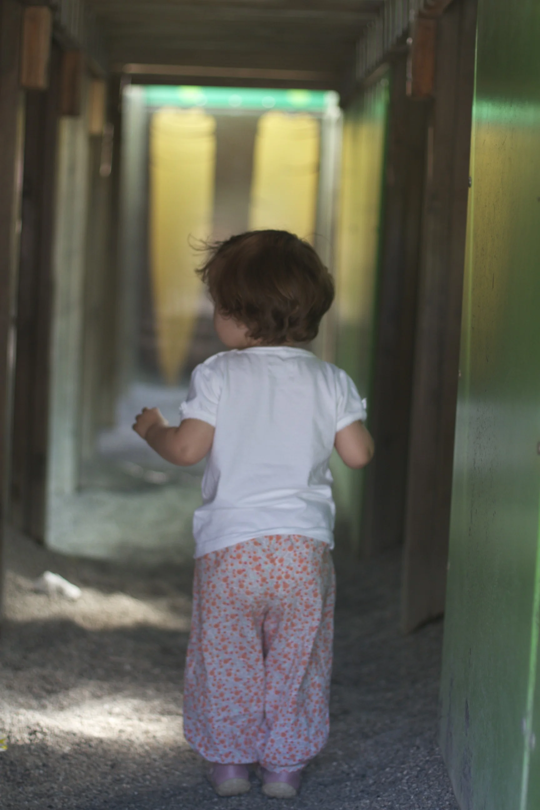 skd pic 2012_07_03 IMG_2141.CR2.jpg