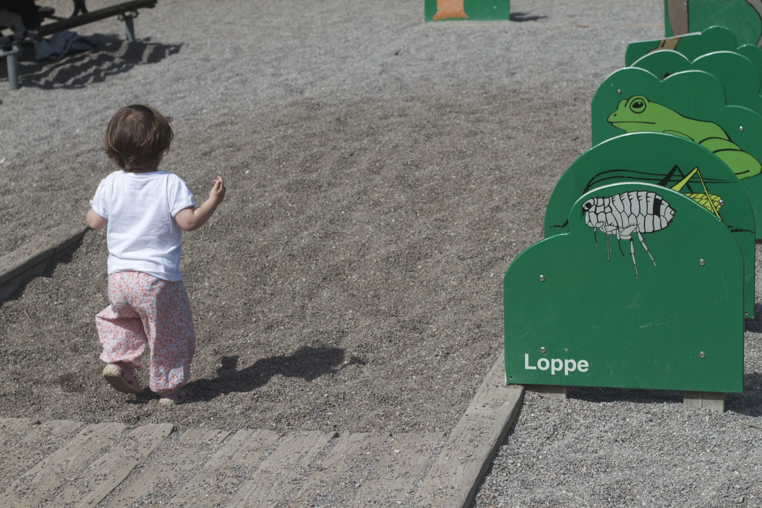 skd pic 2012_07_03 IMG_2138.CR2.jpg