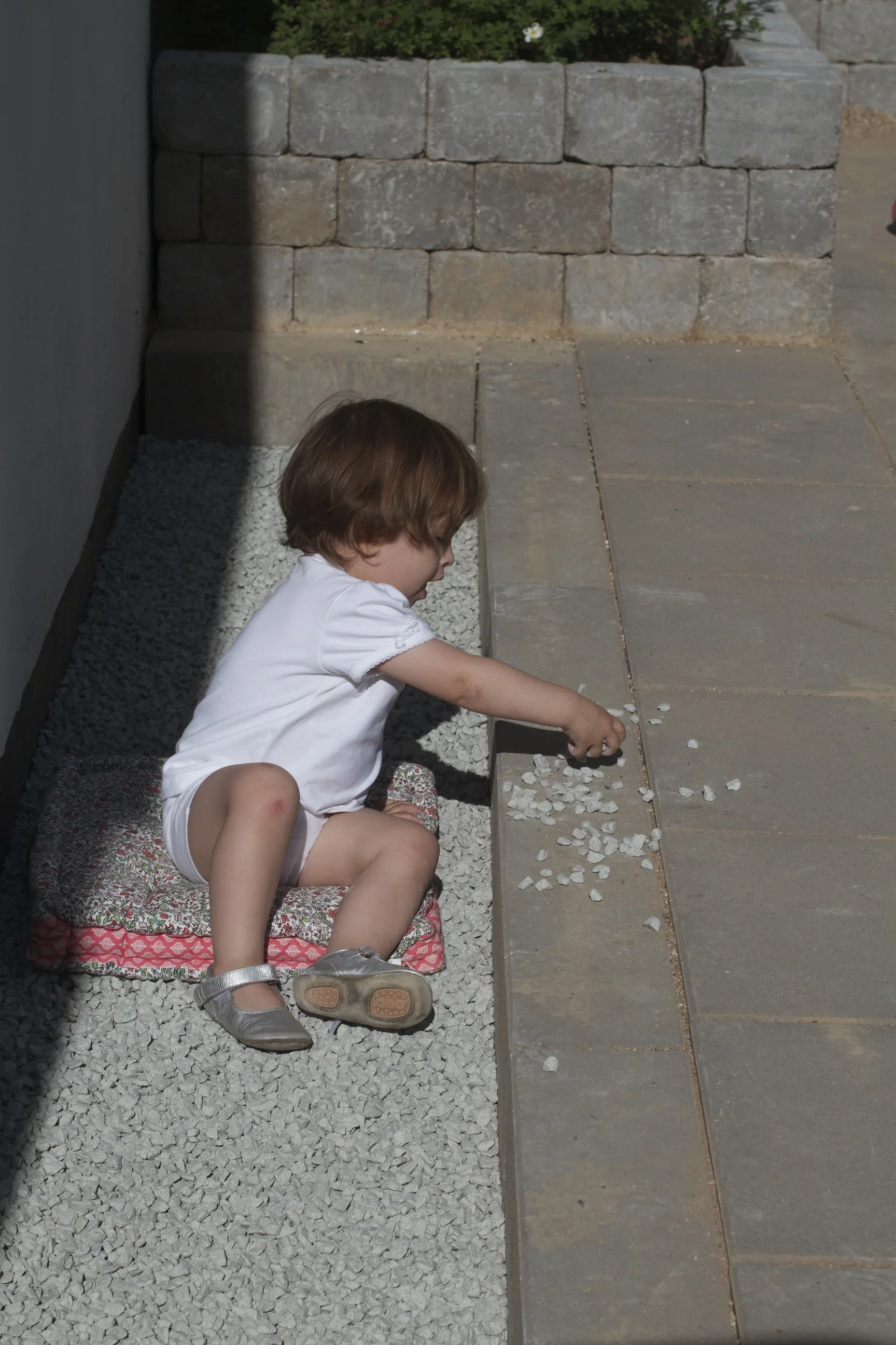 skd pic 2012_07_04 IMG_2182.CR2.jpg