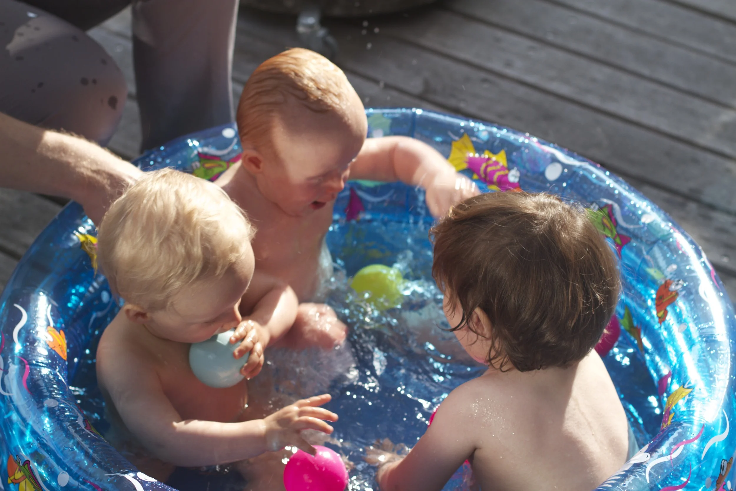 skd pic 2012_07_05 IMG_2327.CR2.jpg