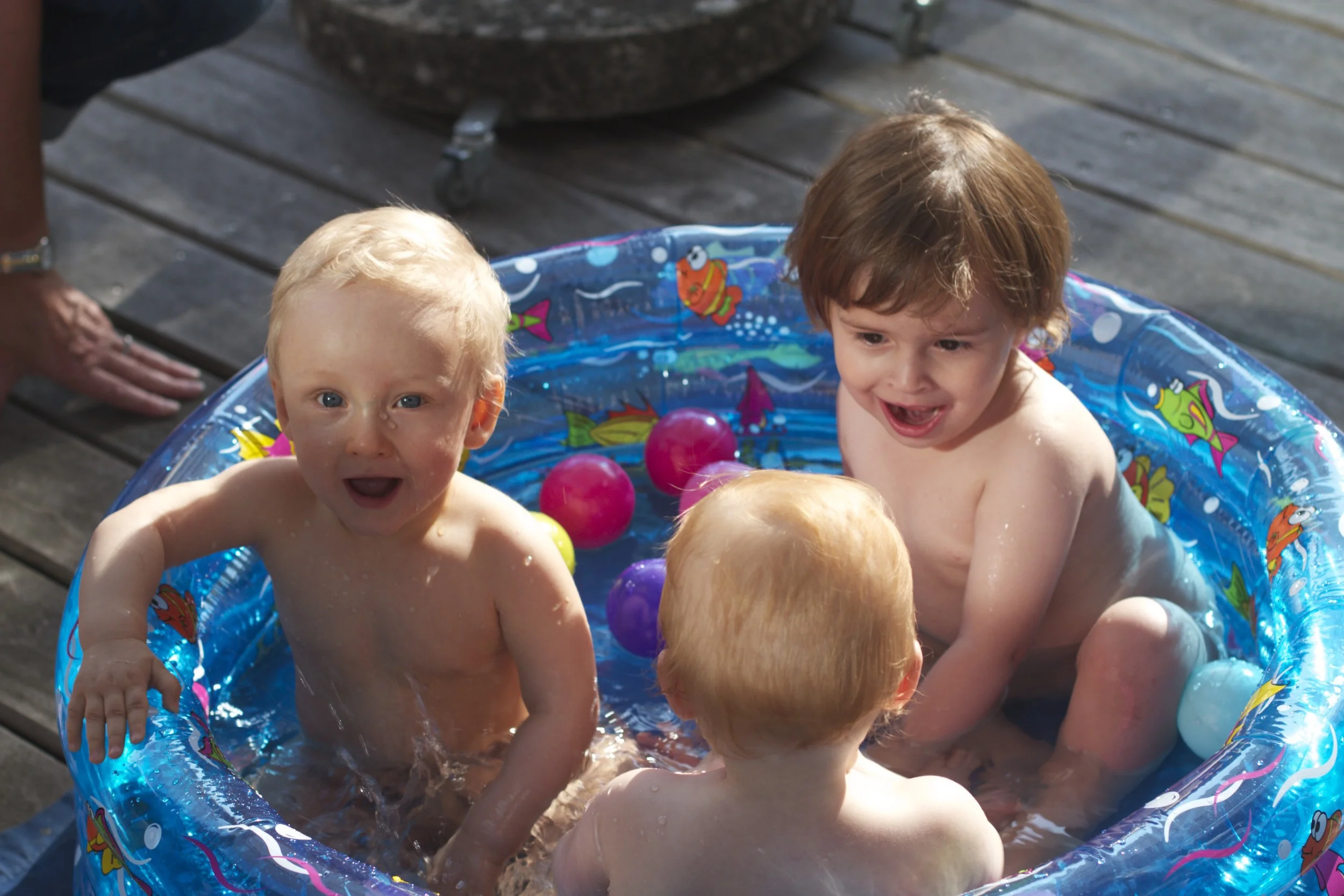 skd pic 2012_07_05 IMG_2323.CR2.jpg