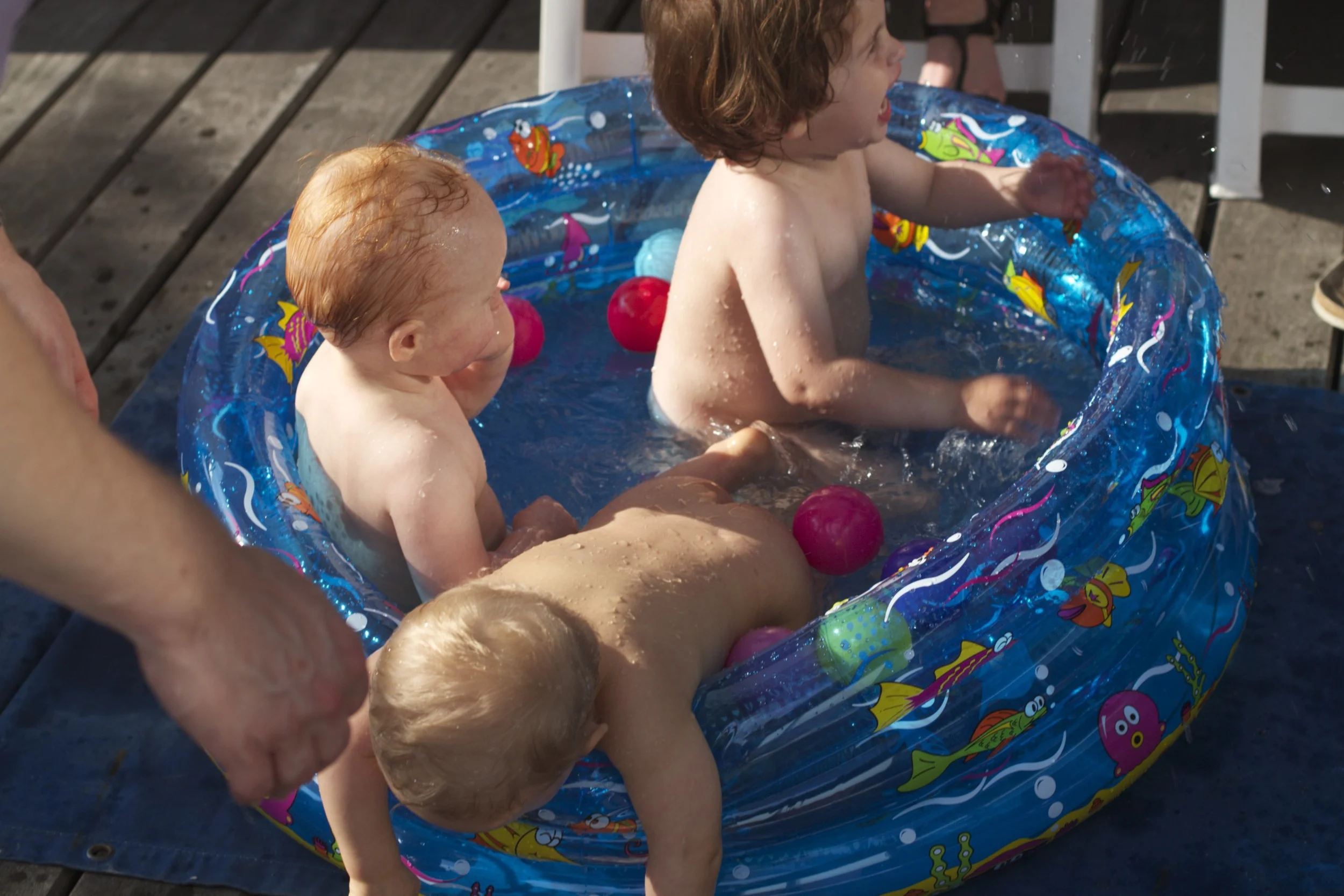 skd pic 2012_07_05 IMG_2392.CR2.jpg