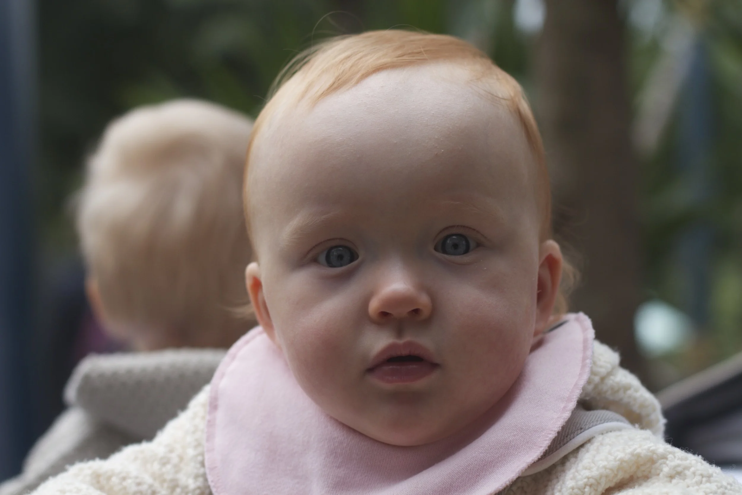 skd pic 2012_07_10 IMG_2477.CR2.jpg