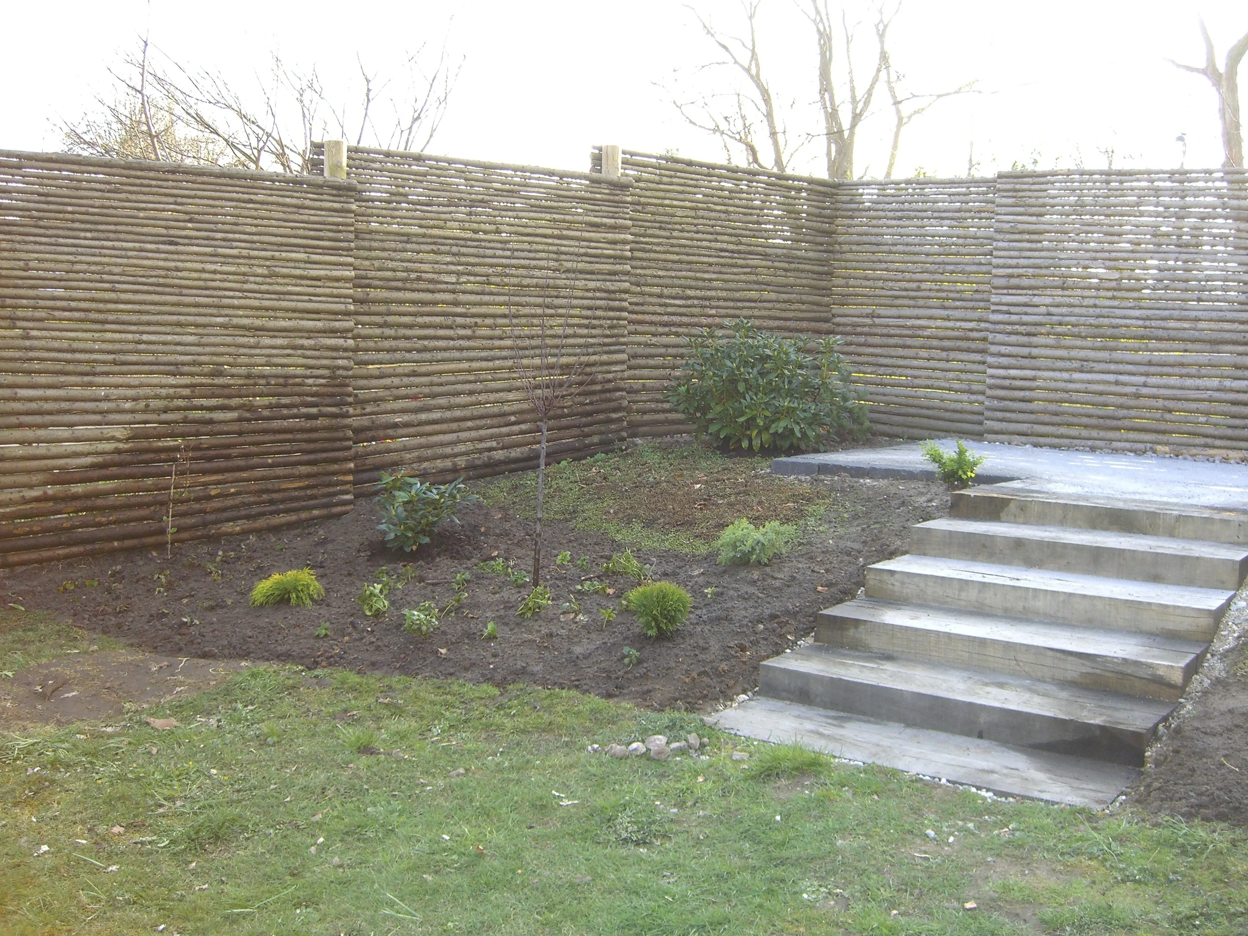 skd pic 2009_04_12 CIMG3394.JPG.jpg