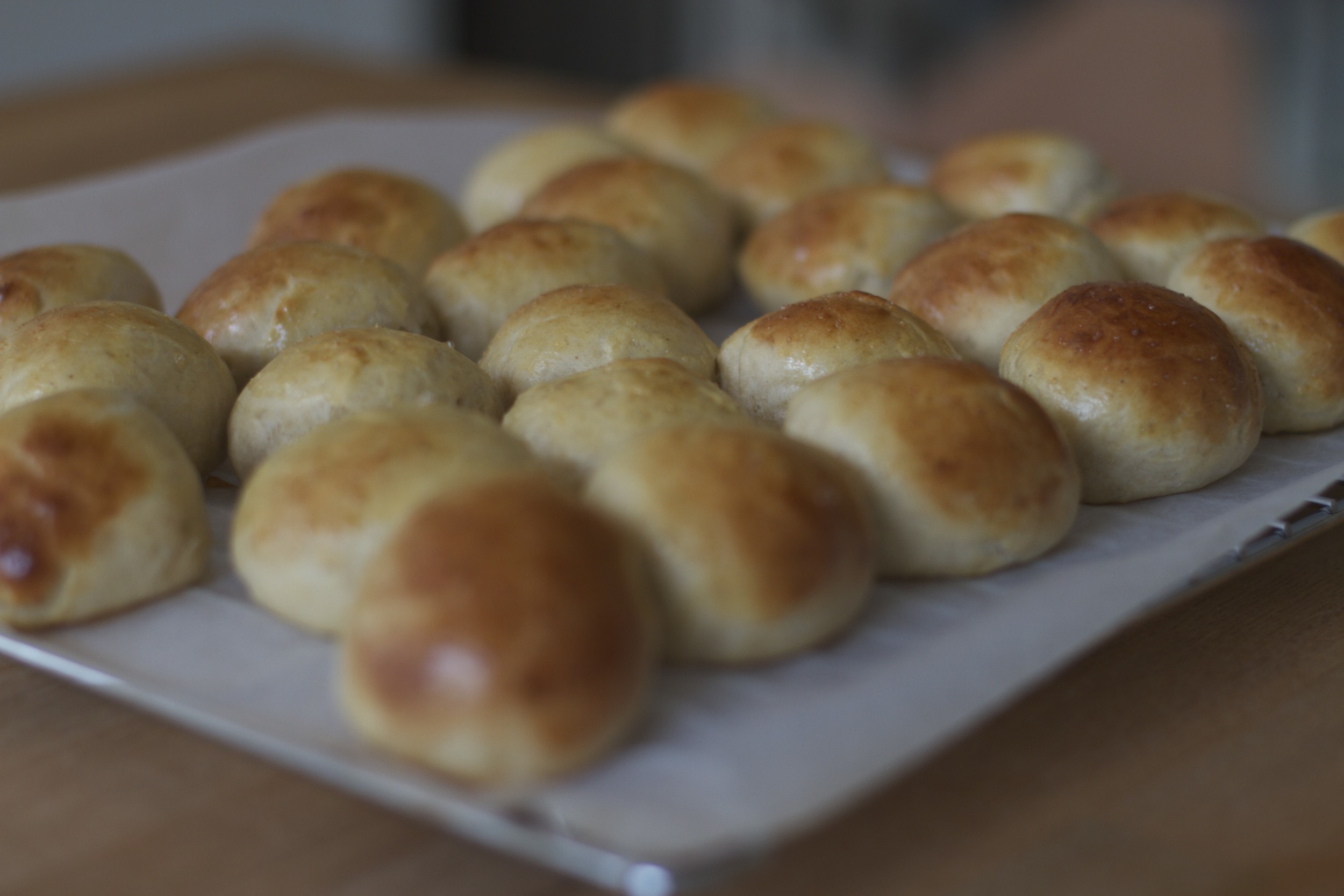 skd pic 2012_05_17 IMG_1310.CR2.jpg