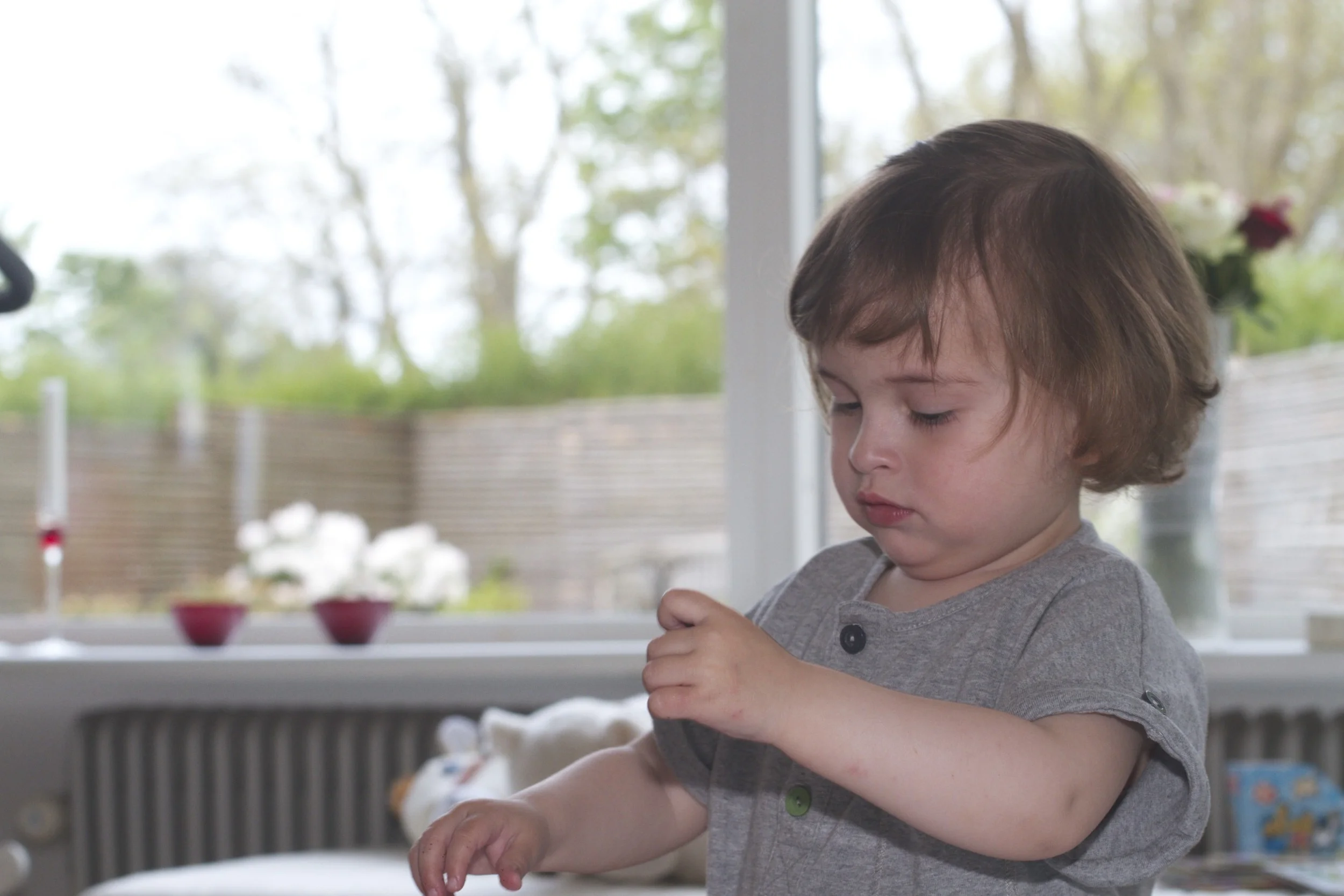 skd pic 2012_05_17 IMG_1299.CR2.jpg