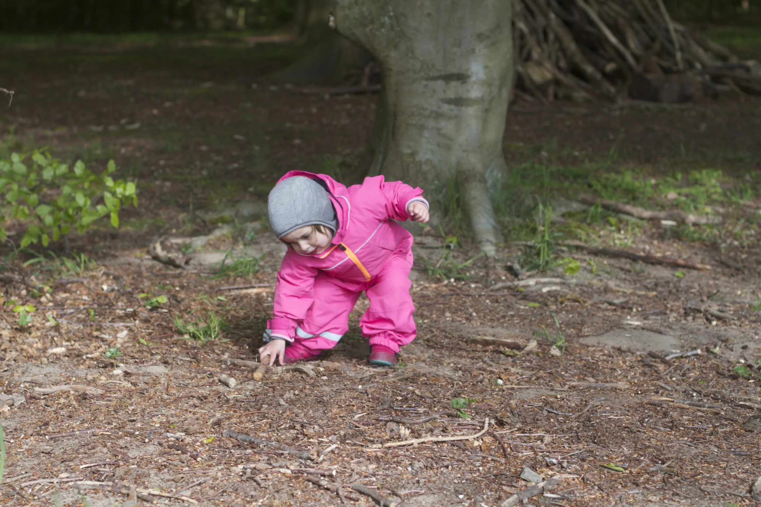 skd pic 2012_05_17 IMG_1423.CR2.jpg