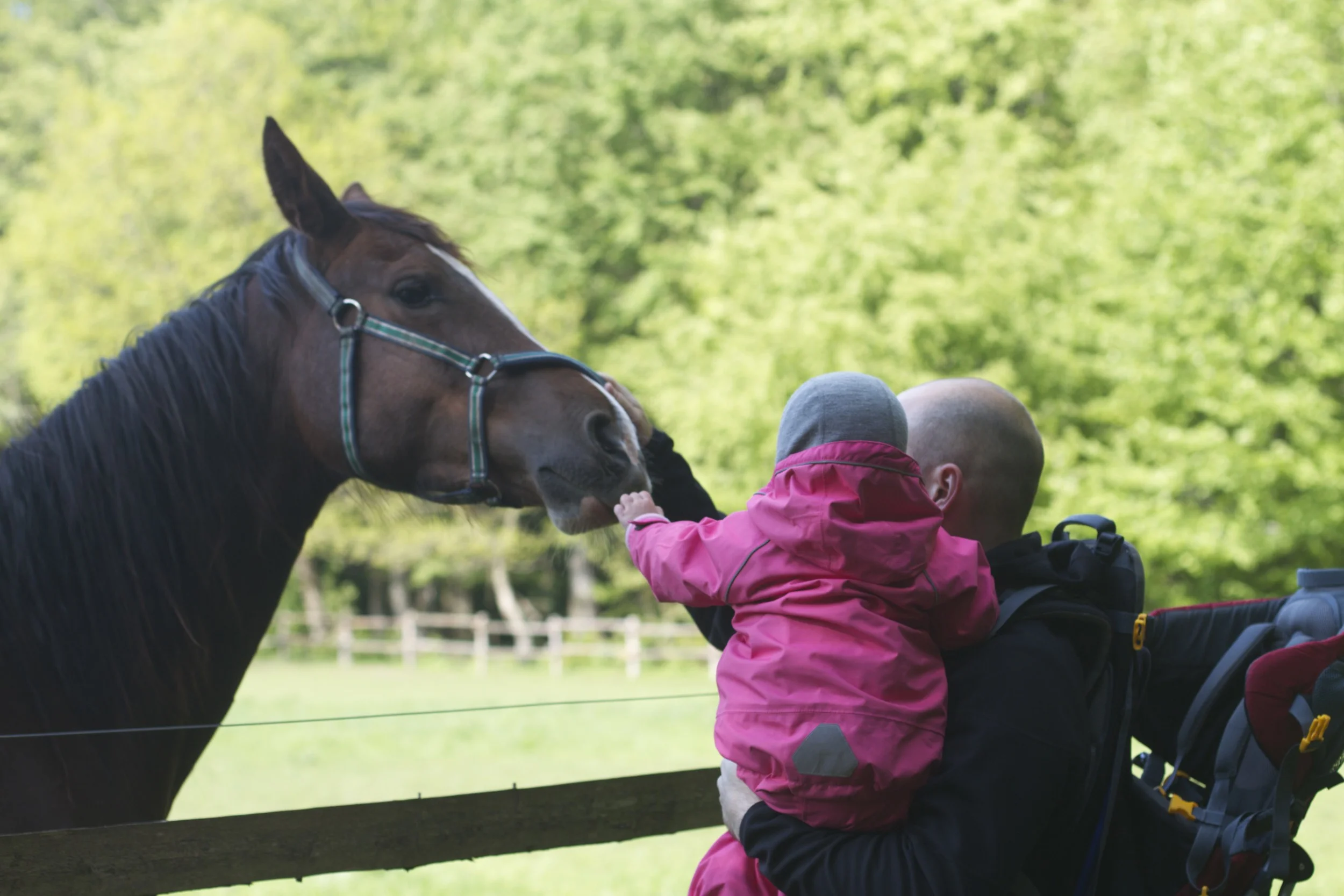 skd pic 2012_05_17 IMG_1449.CR2.jpg