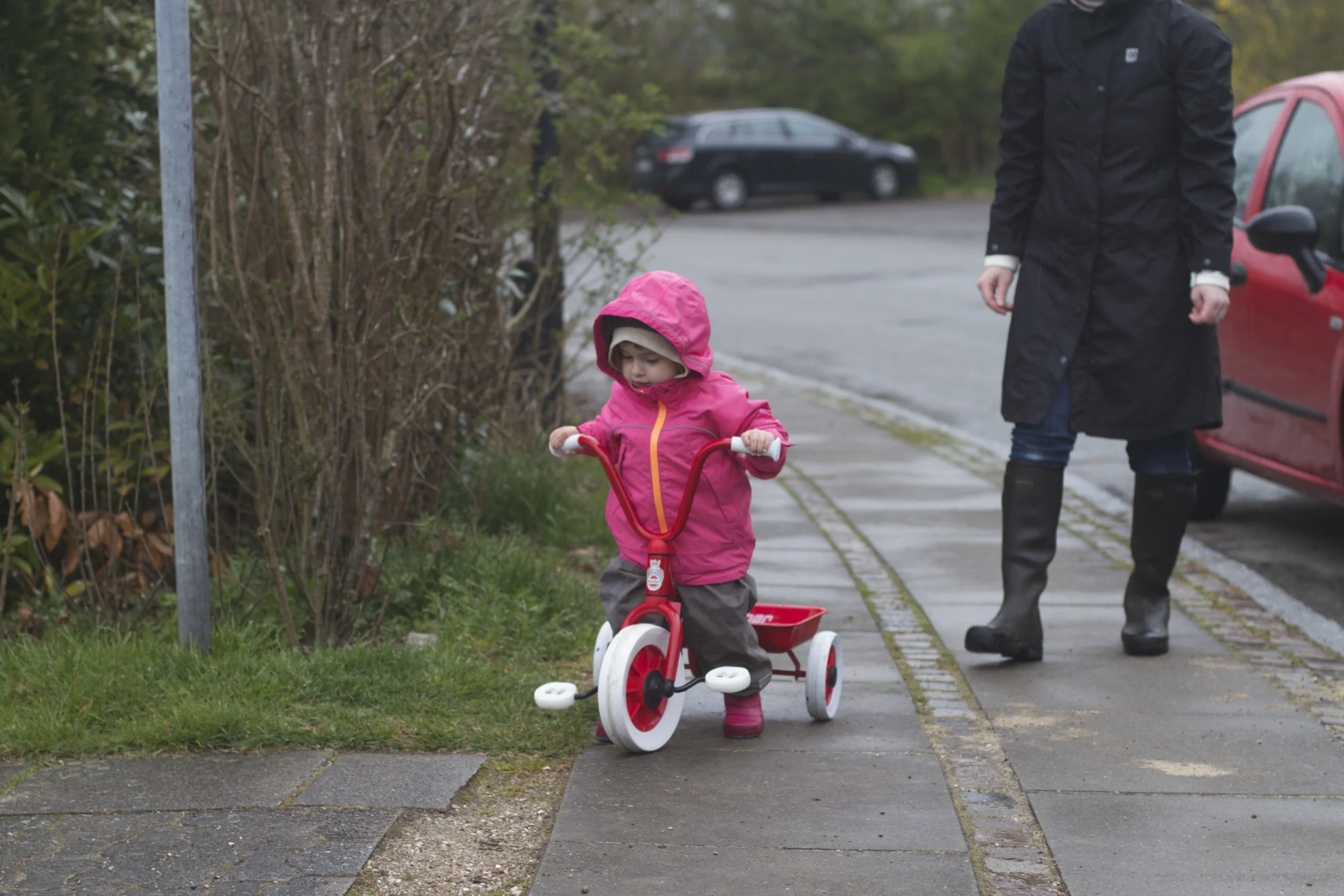 skd pic 2012_04_28 IMG_0489.CR2.jpg