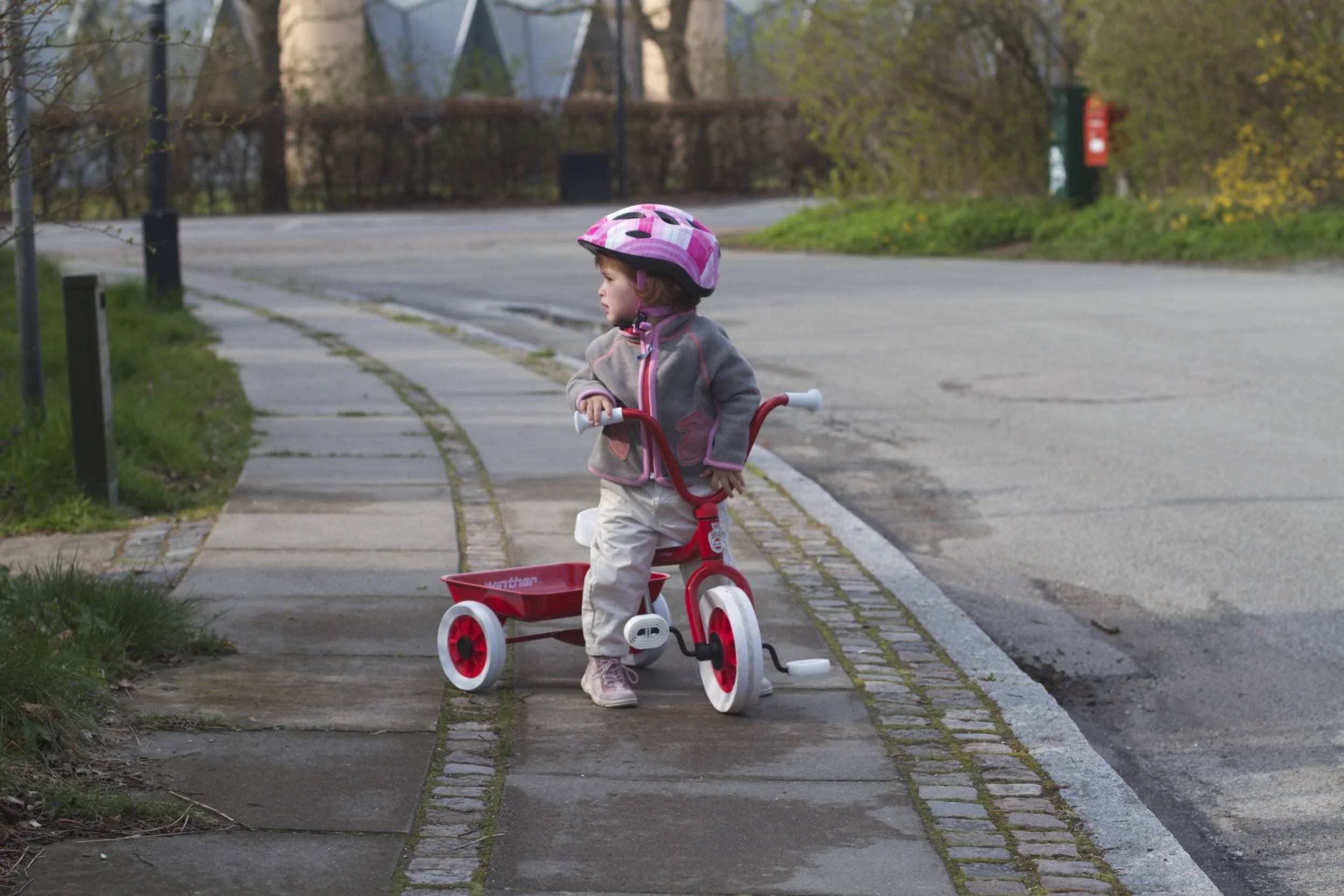 skd pic 2012_04_28 IMG_0498.CR2.jpg