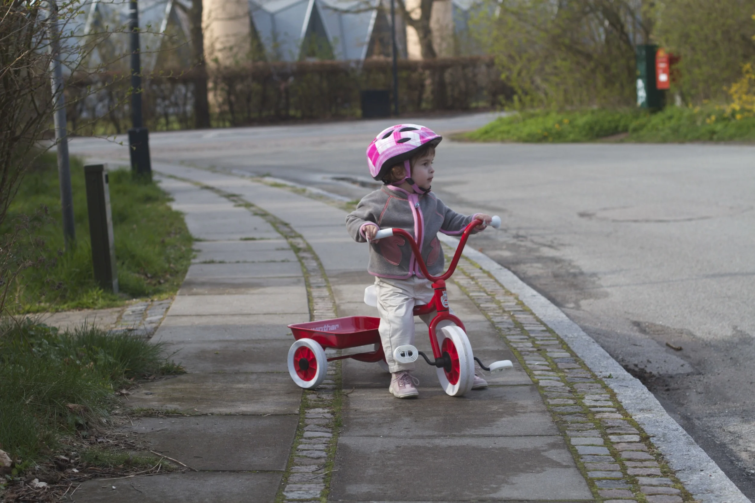 skd pic 2012_04_28 IMG_0502.CR2.jpg