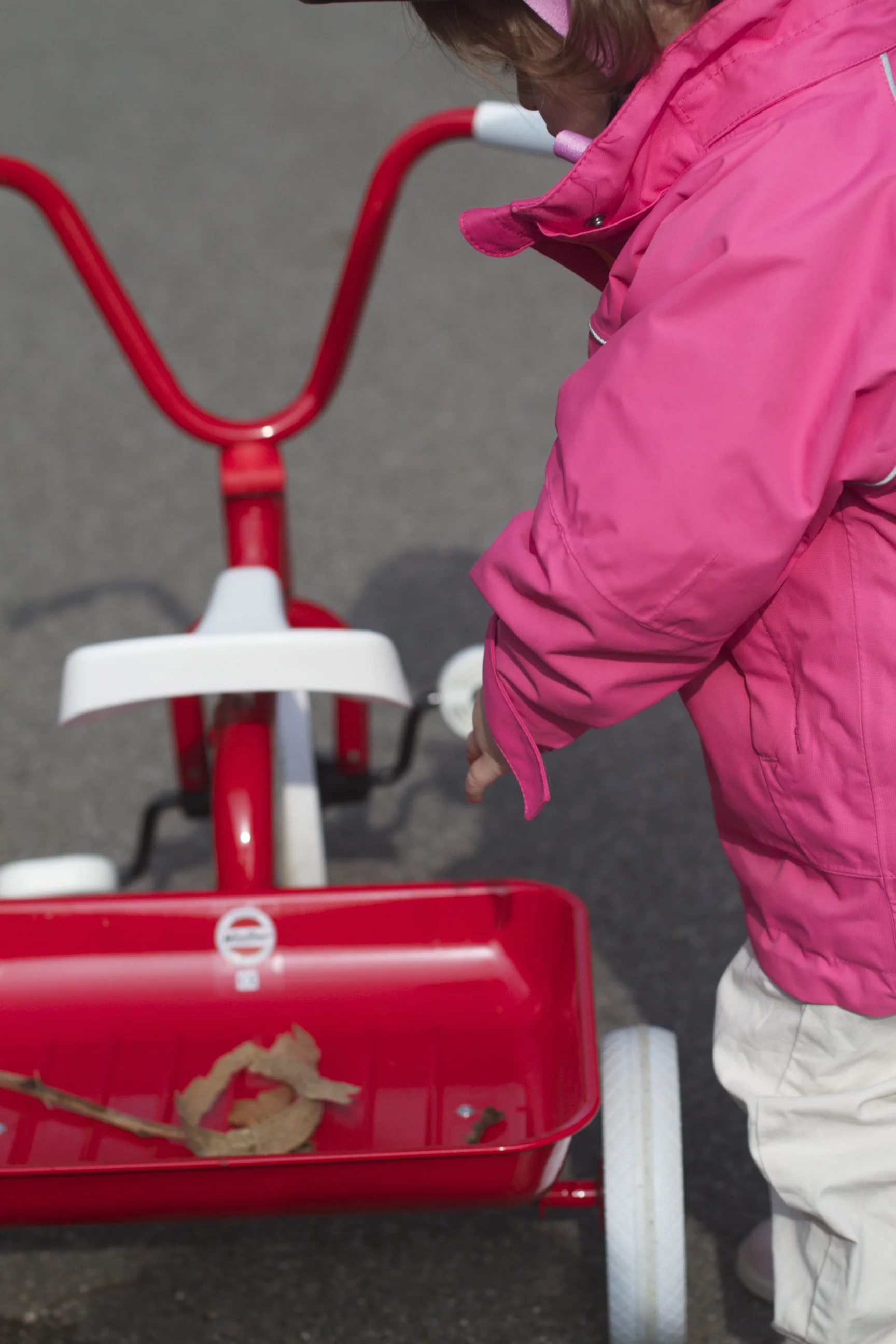 skd pic 2012_04_28 IMG_0521.CR2.jpg