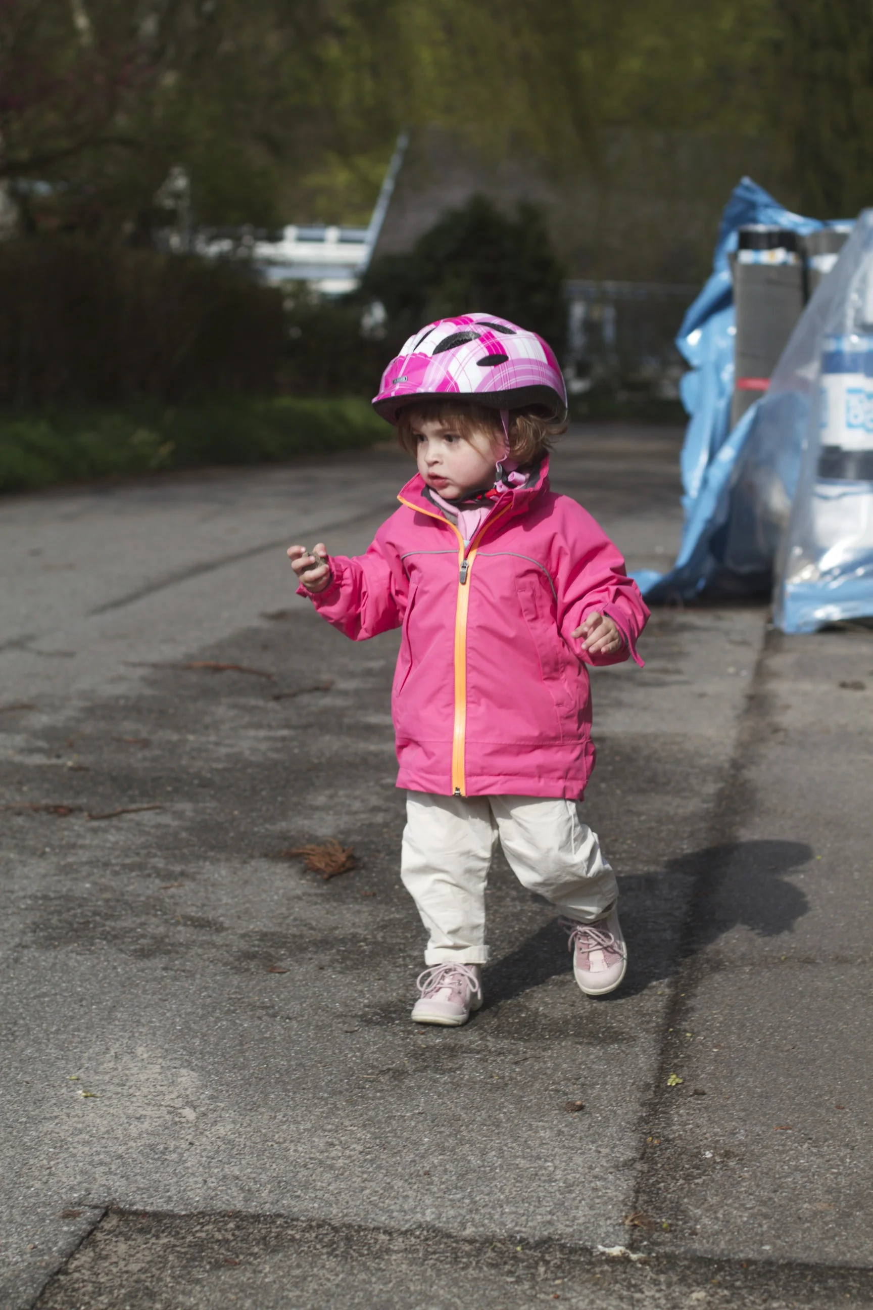 skd pic 2012_04_28 IMG_0530.CR2.jpg