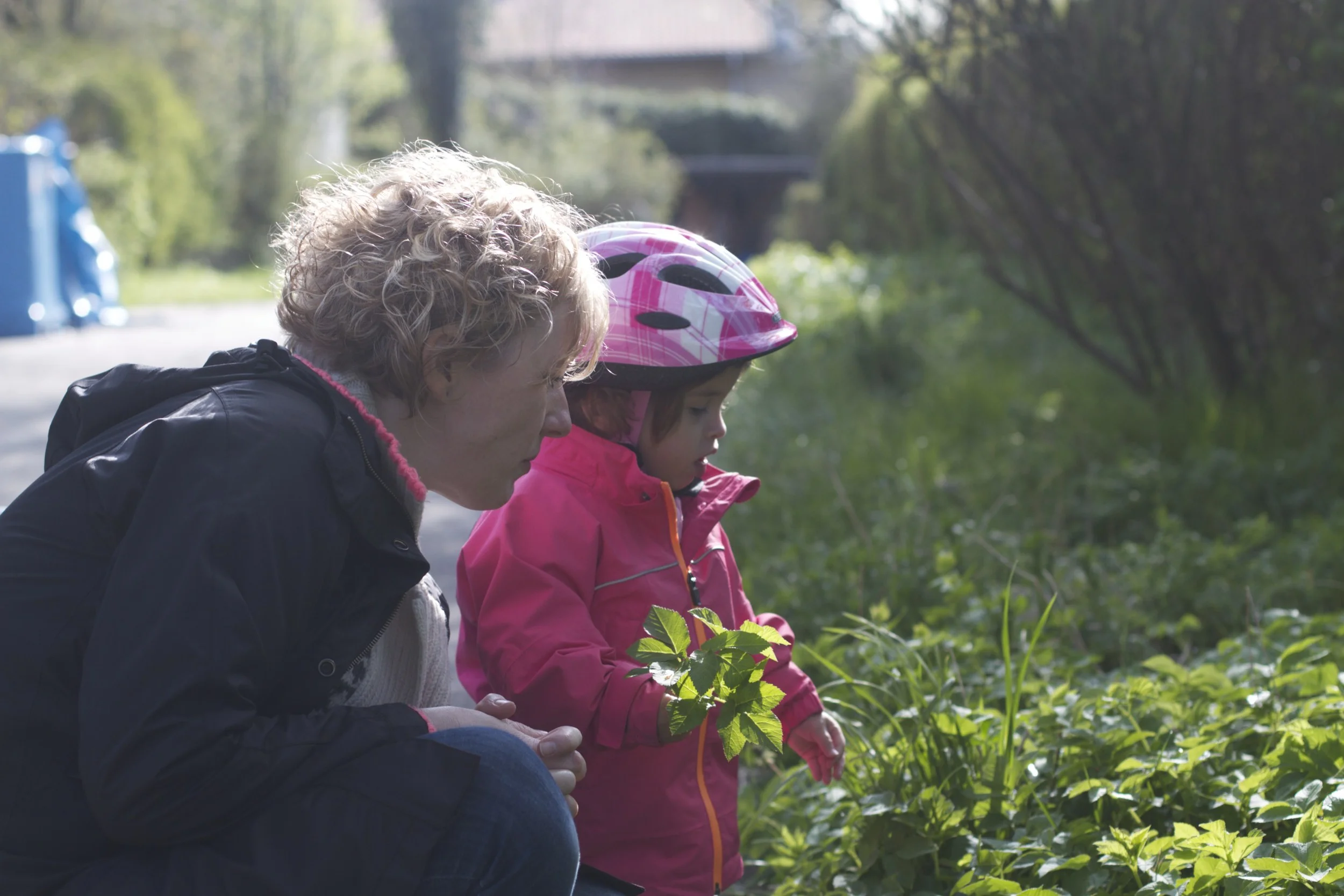 skd pic 2012_04_28 IMG_0565.CR2.jpg