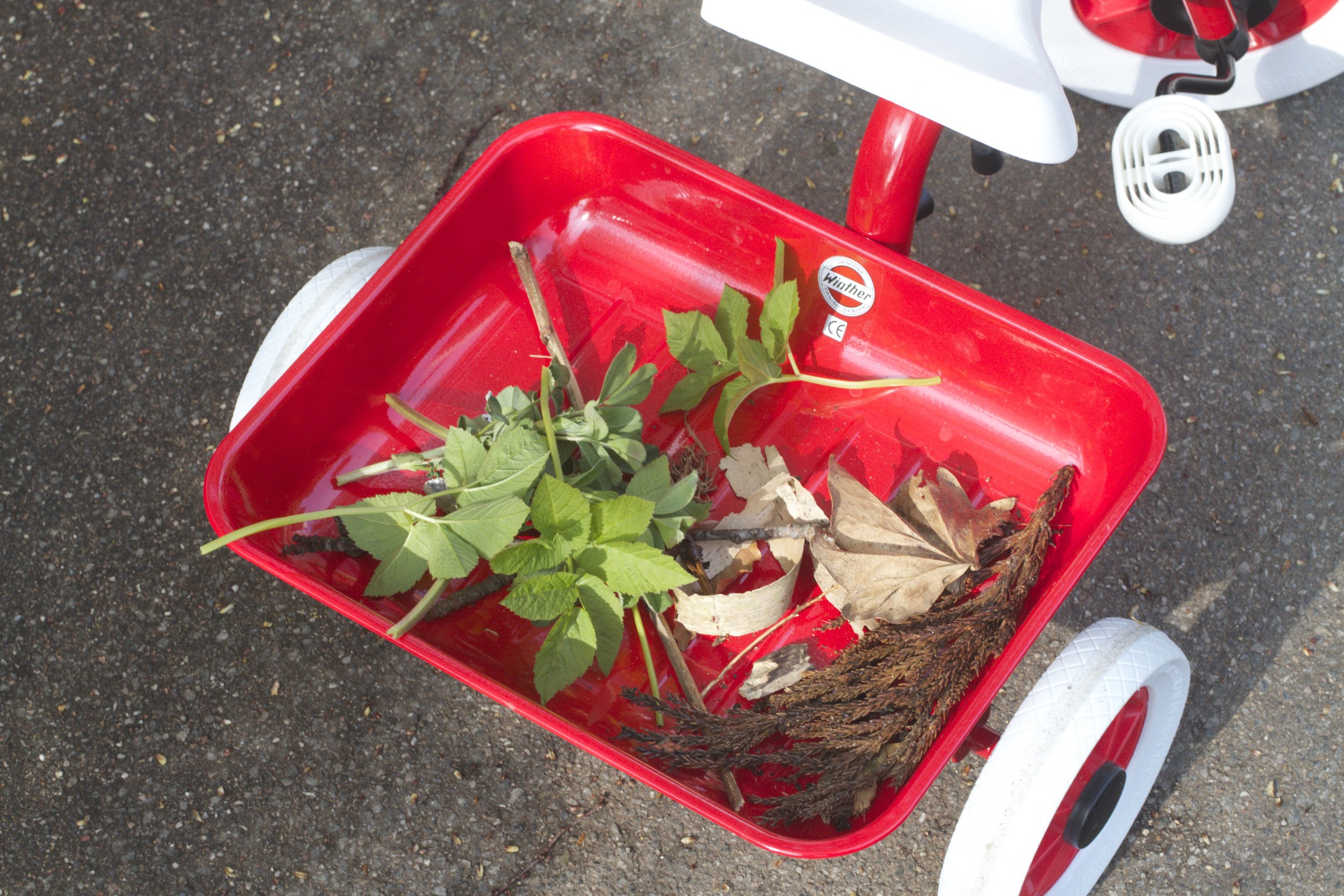 skd pic 2012_04_28 IMG_0563.CR2.jpg