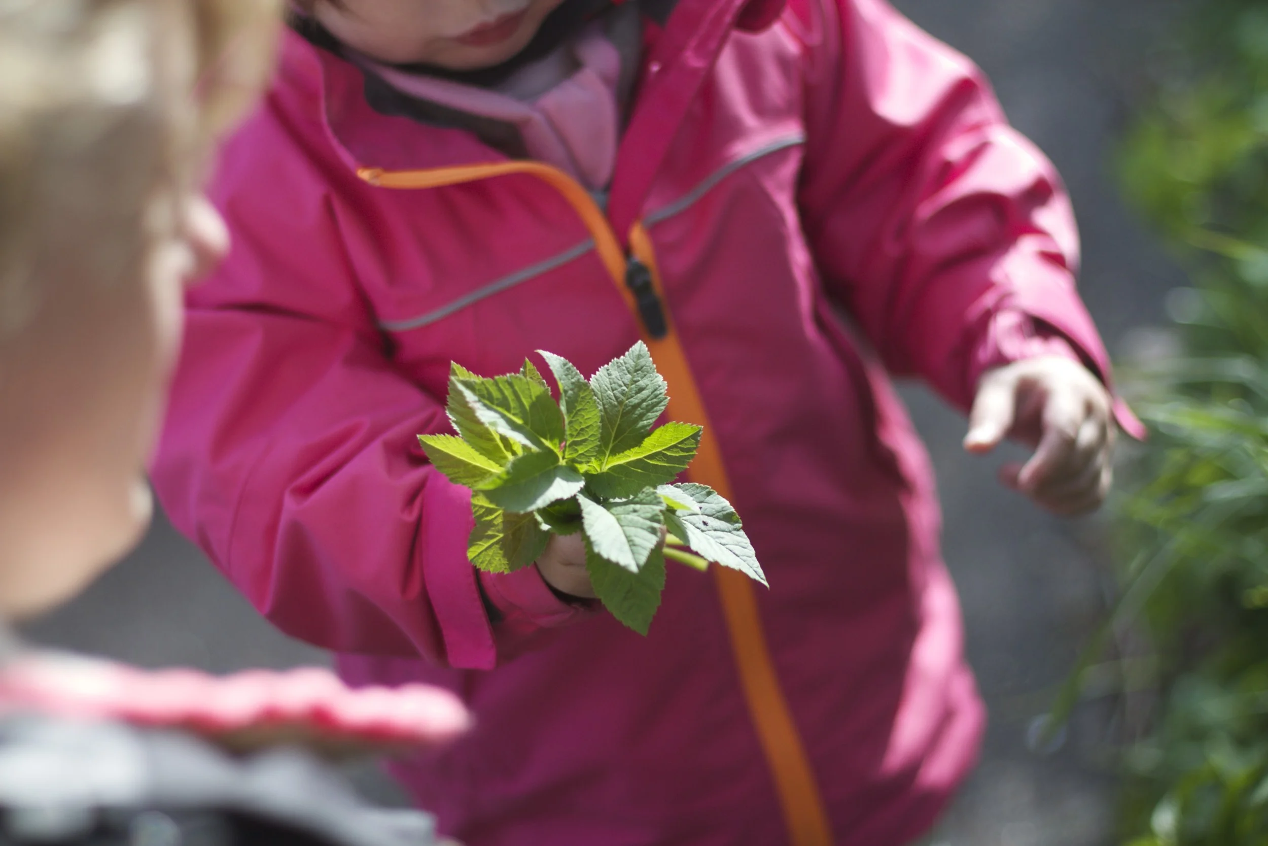 skd pic 2012_04_28 IMG_0579.CR2.jpg