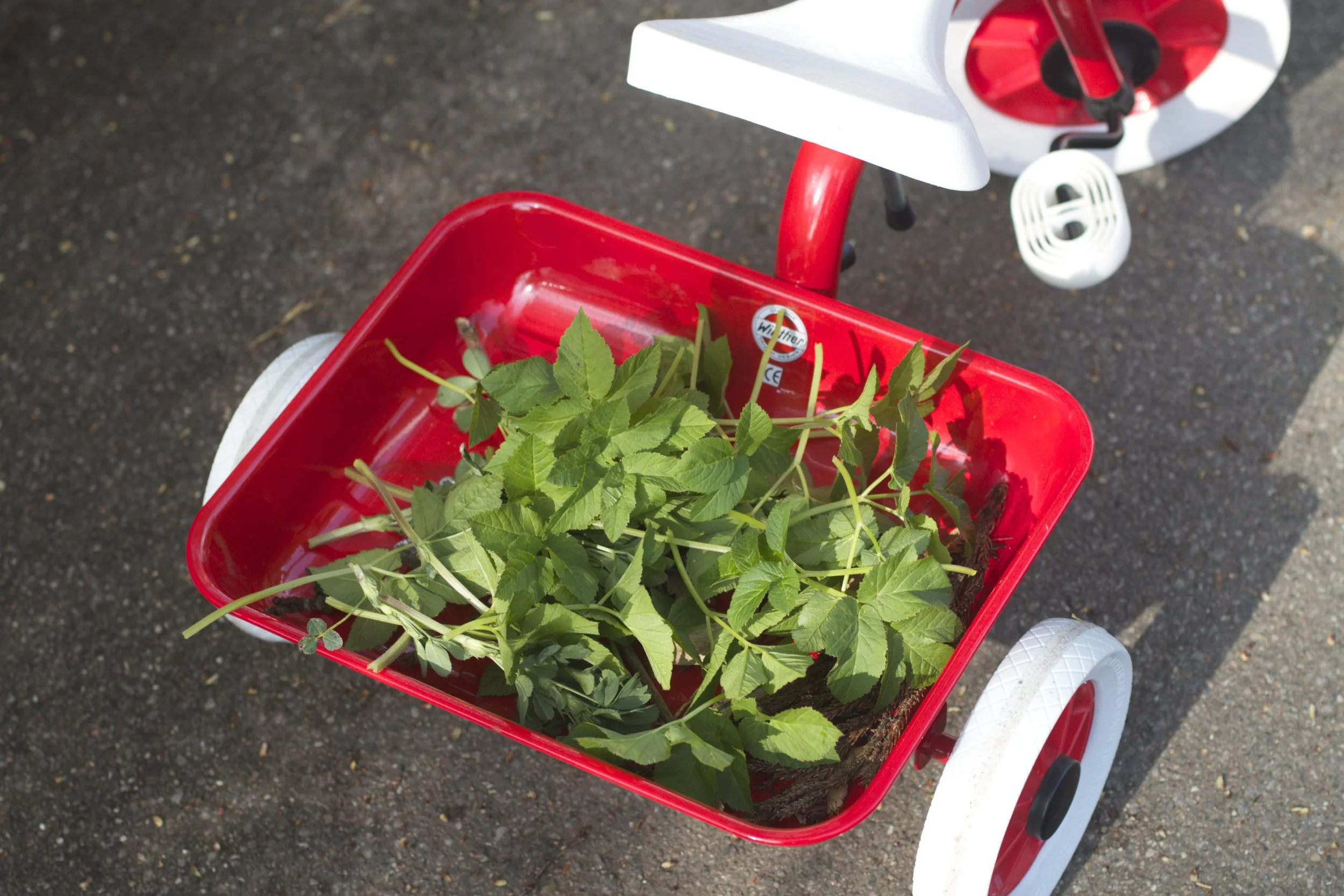 skd pic 2012_04_28 IMG_0596.CR2.jpg