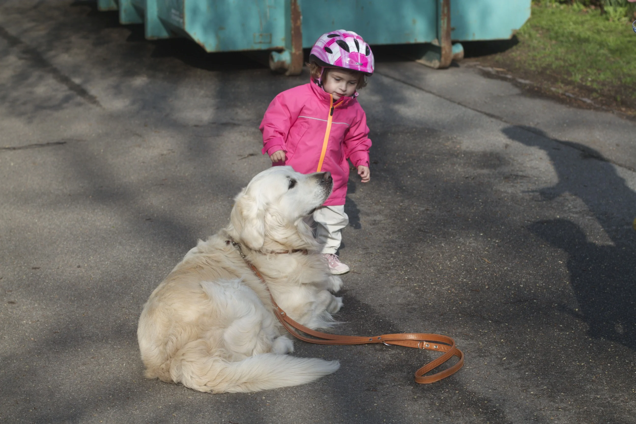 skd pic 2012_04_28 IMG_0611.CR2.jpg