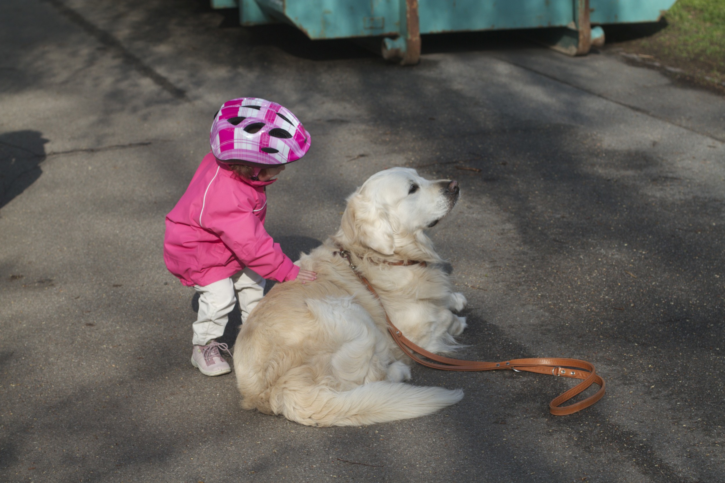 skd pic 2012_04_28 IMG_0614.CR2.jpg