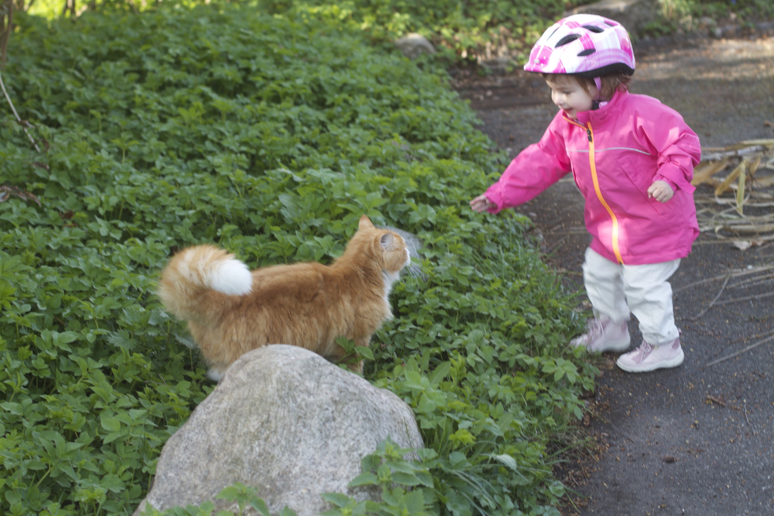 skd pic 2012_04_28 IMG_0621.CR2.jpg