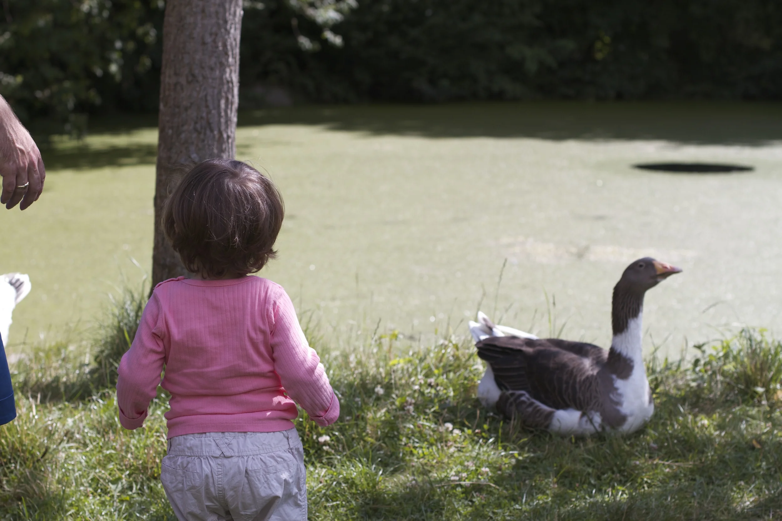 skd pic 2012_07_20 IMG_2861.CR2.jpg