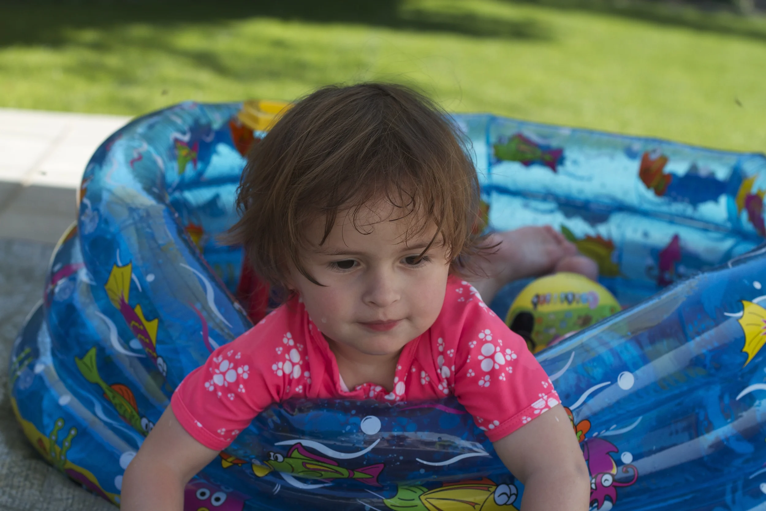 skd pic 2012_07_24 IMG_3310.CR2.jpg