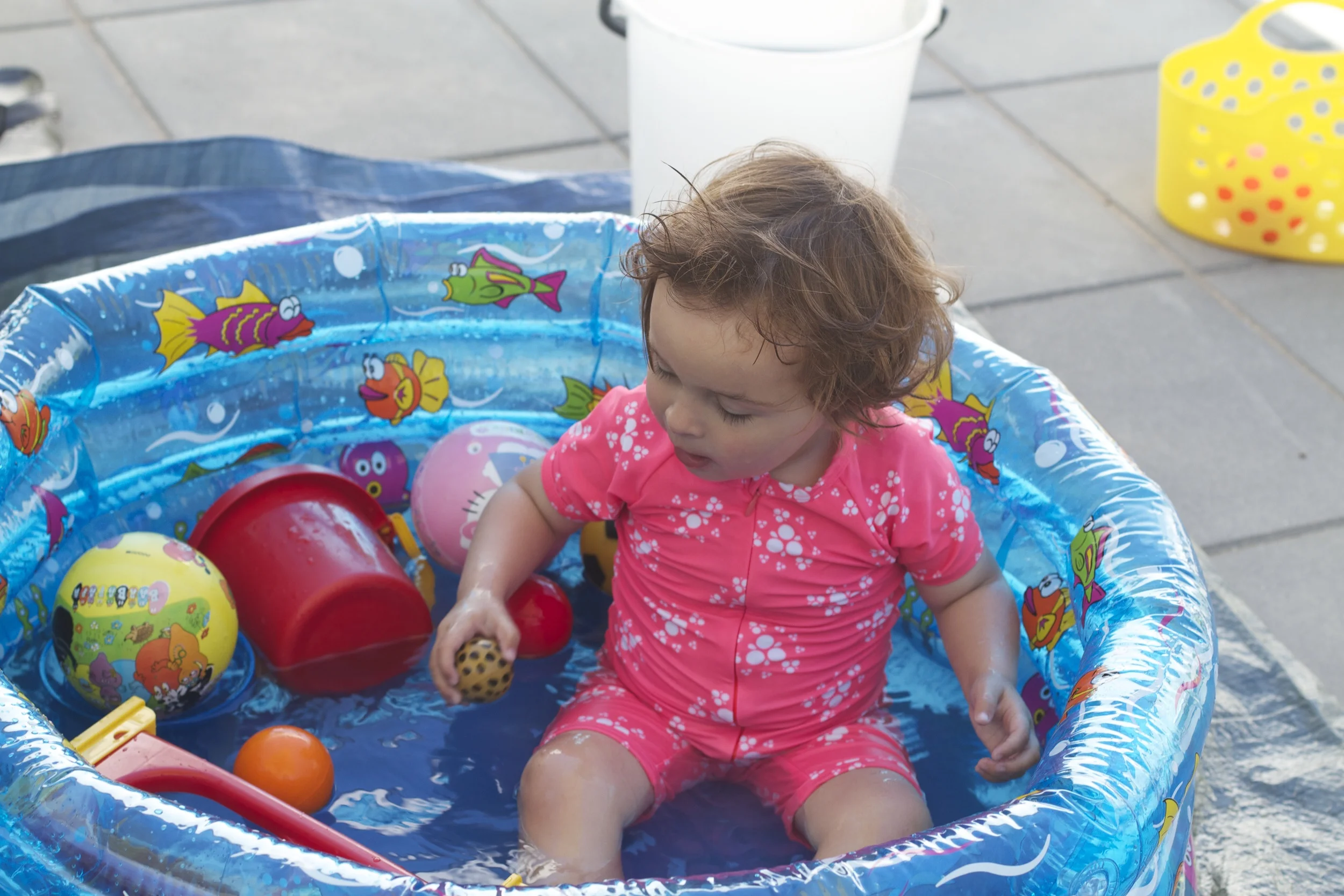 skd pic 2012_07_24 IMG_3377.CR2.jpg