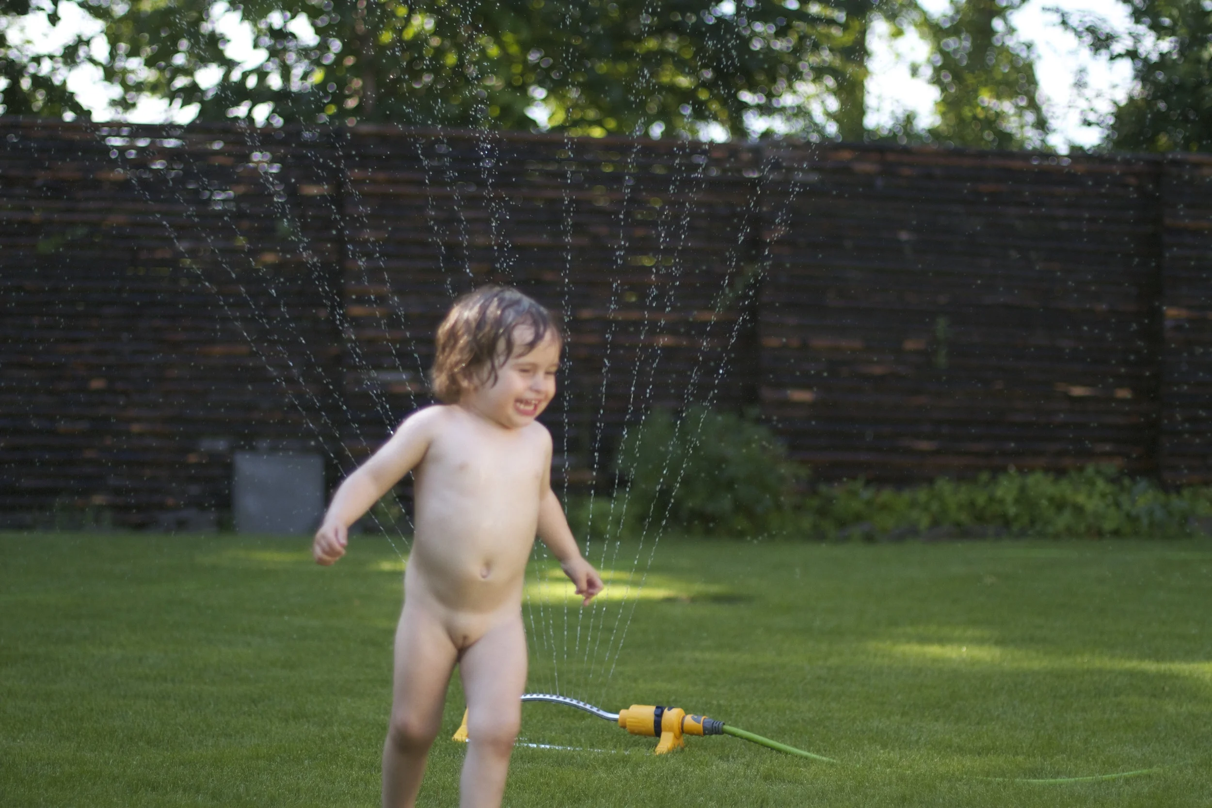 skd pic 2012_07_24 IMG_3575.CR2.jpg