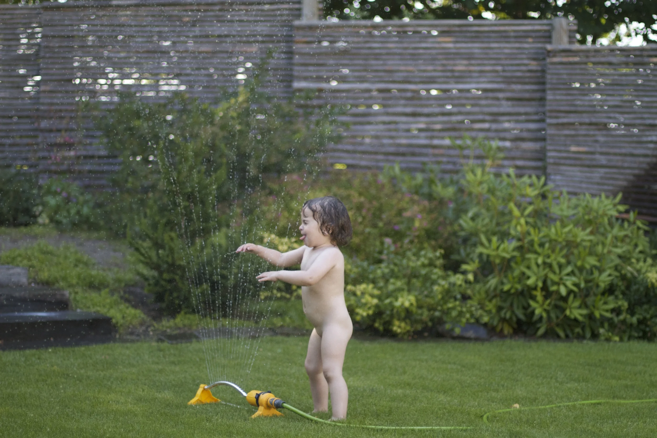 skd pic 2012_07_24 IMG_3604.CR2.jpg