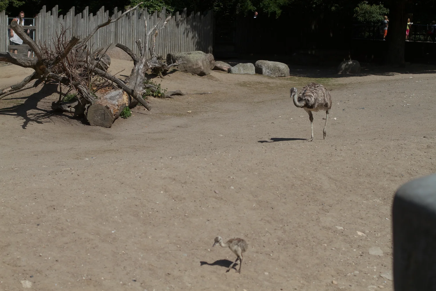 Snofari 2013_08_07 4.jpg