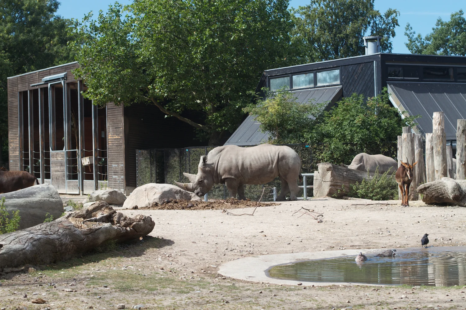 Snofari 2013_08_07 5.jpg