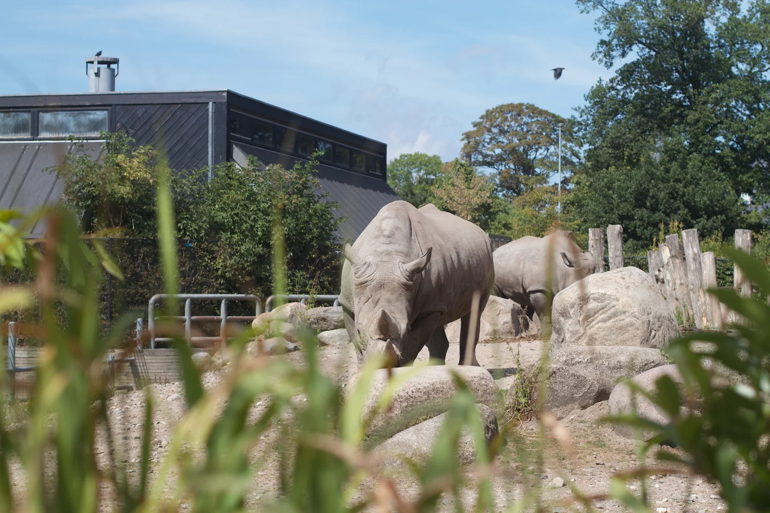 Snofari 2013_08_07 10.jpg